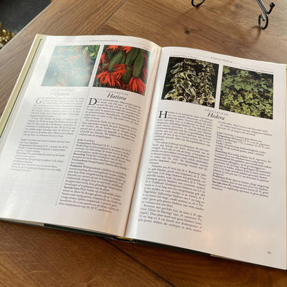 De complete gids voor serreplanten (Ann Bonar) - The Collectionist