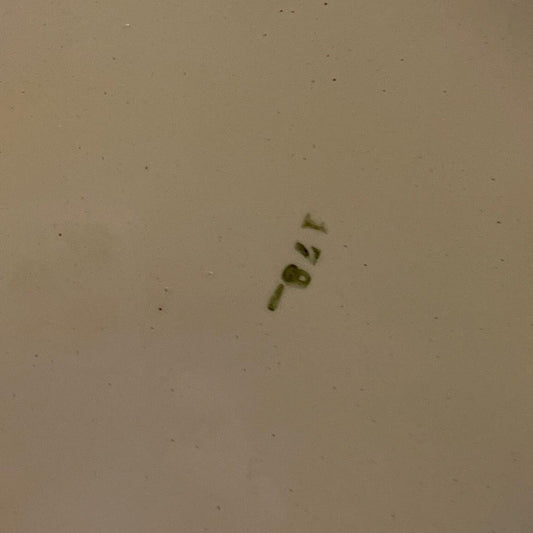 Dienblad van porselein met metaal - Bamestra Curiosa