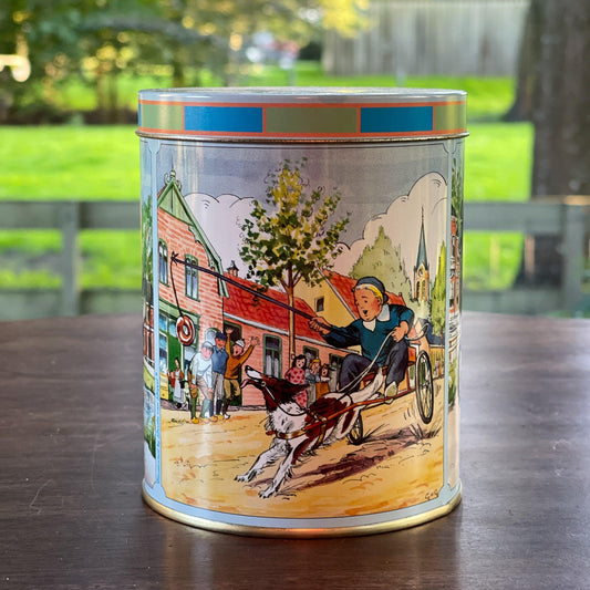 Dik Trom blik van Jamin - Bamestra Curiosa