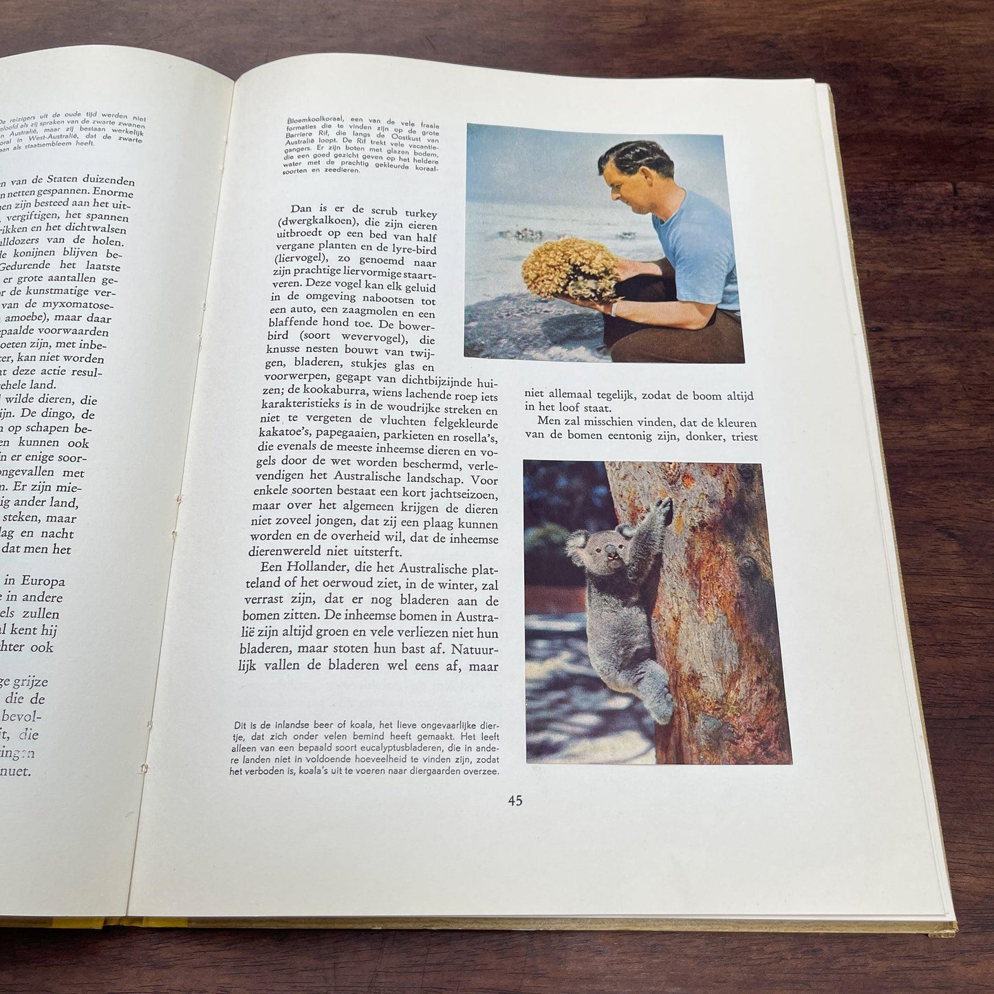 Douwe Egberts landen boek van Australië - Bamestra Curiosa