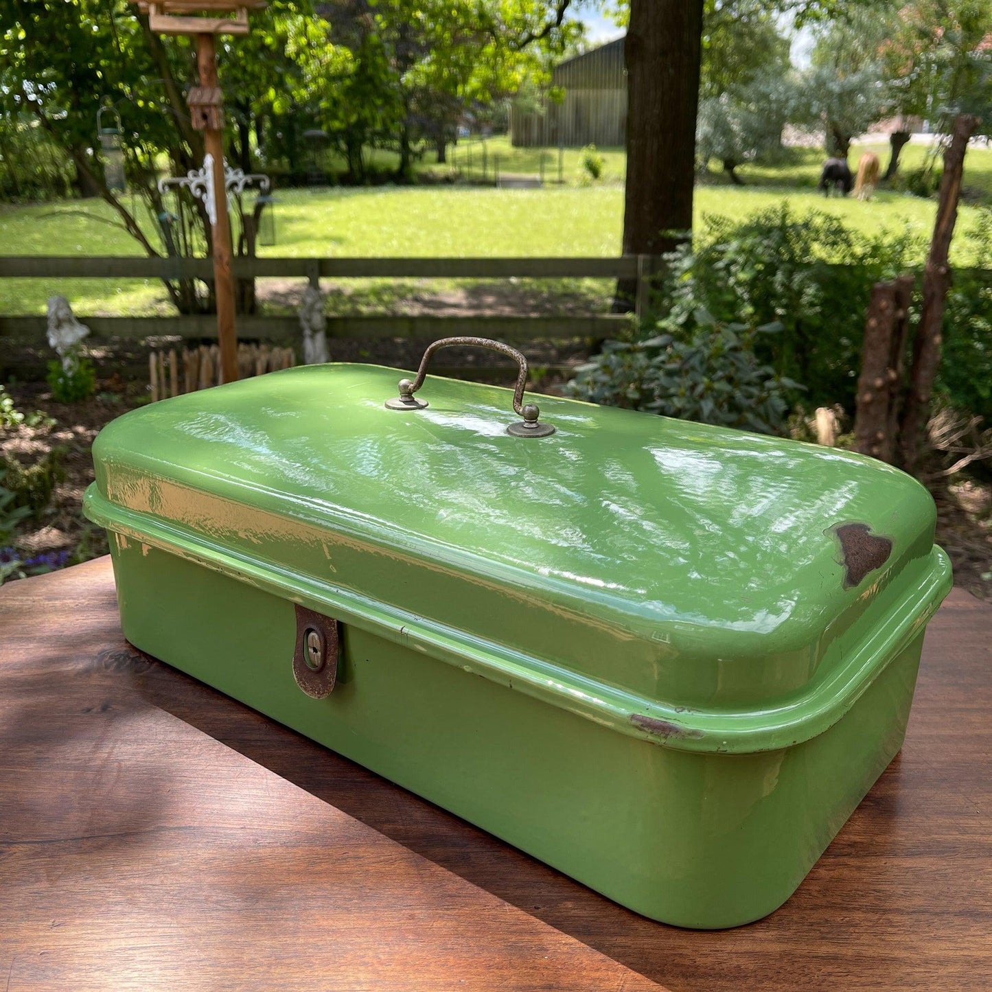 Emaille broodtrommel - Bamestra Curiosa