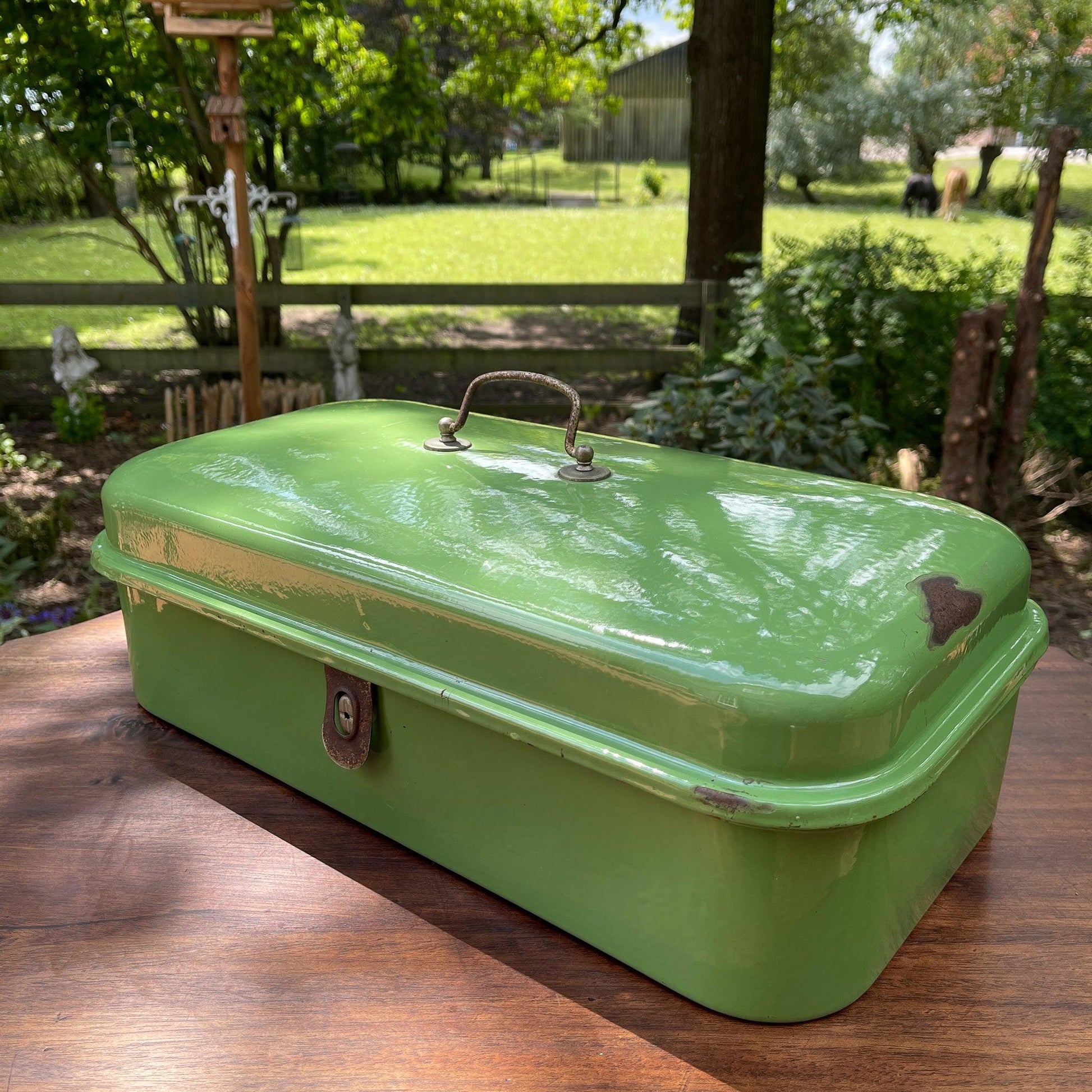 Emaille broodtrommel - Bamestra Curiosa