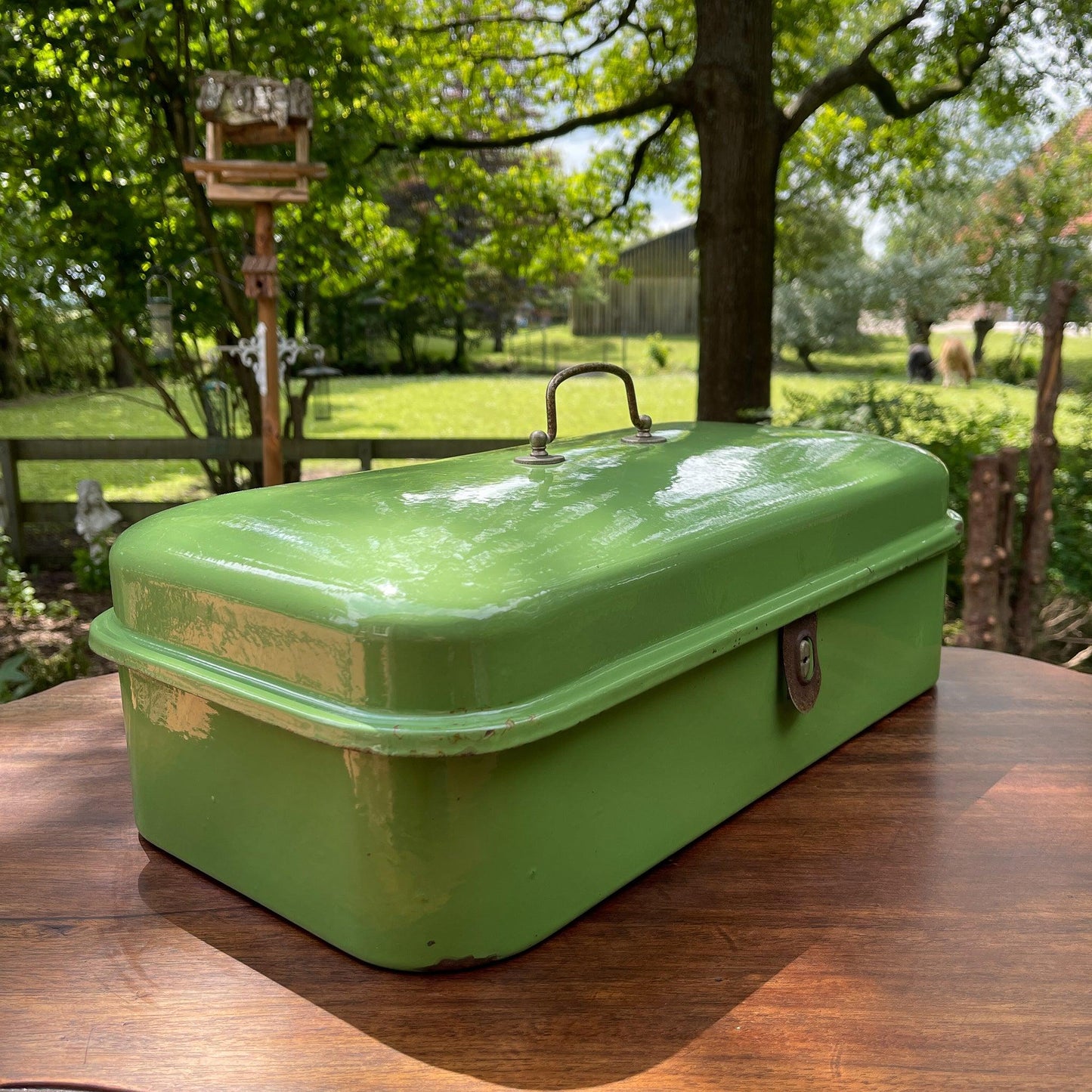 Emaille broodtrommel - Bamestra Curiosa