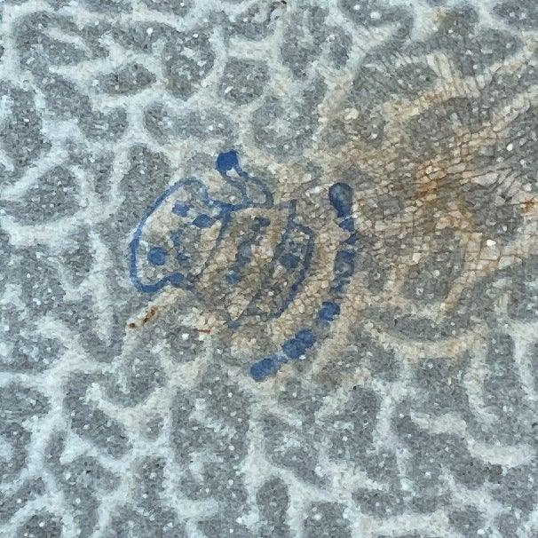 Emaille koekenpannetje - The Collectionist