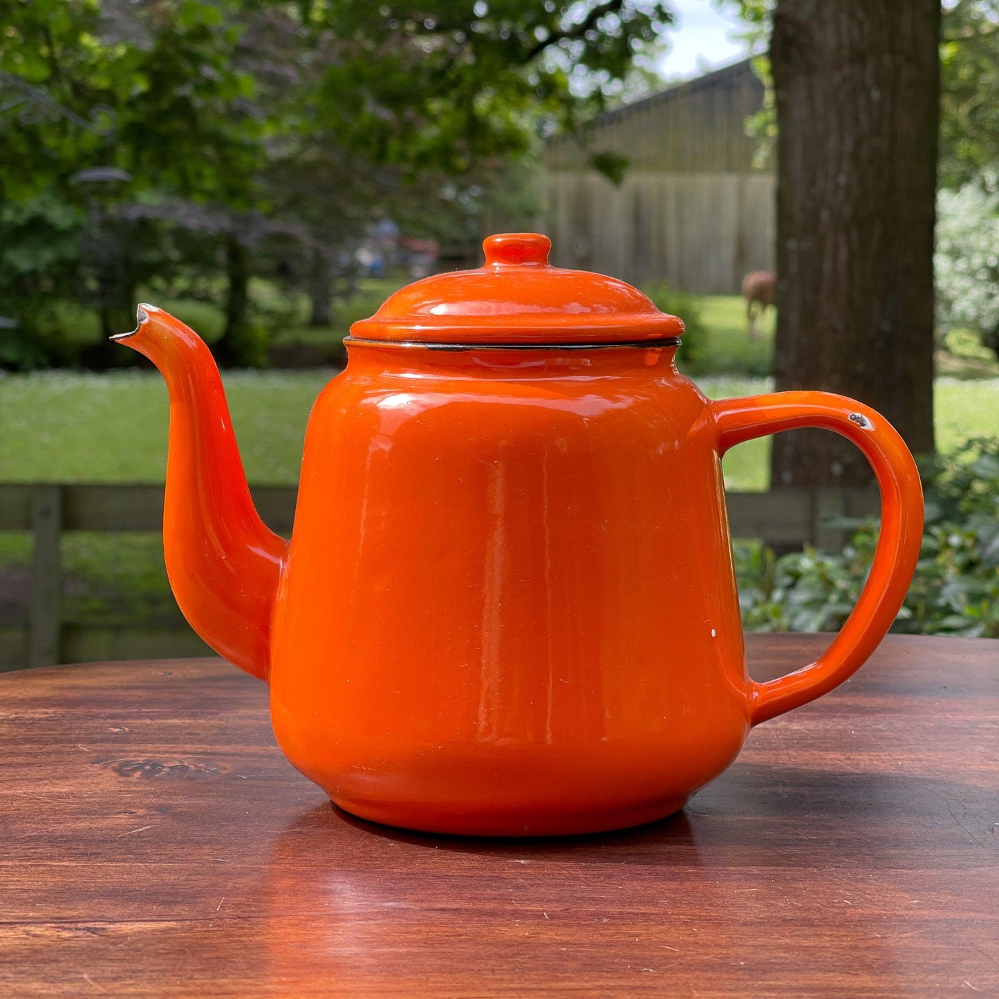 Emaille koffiepot / theepot - Bamestra Curiosa