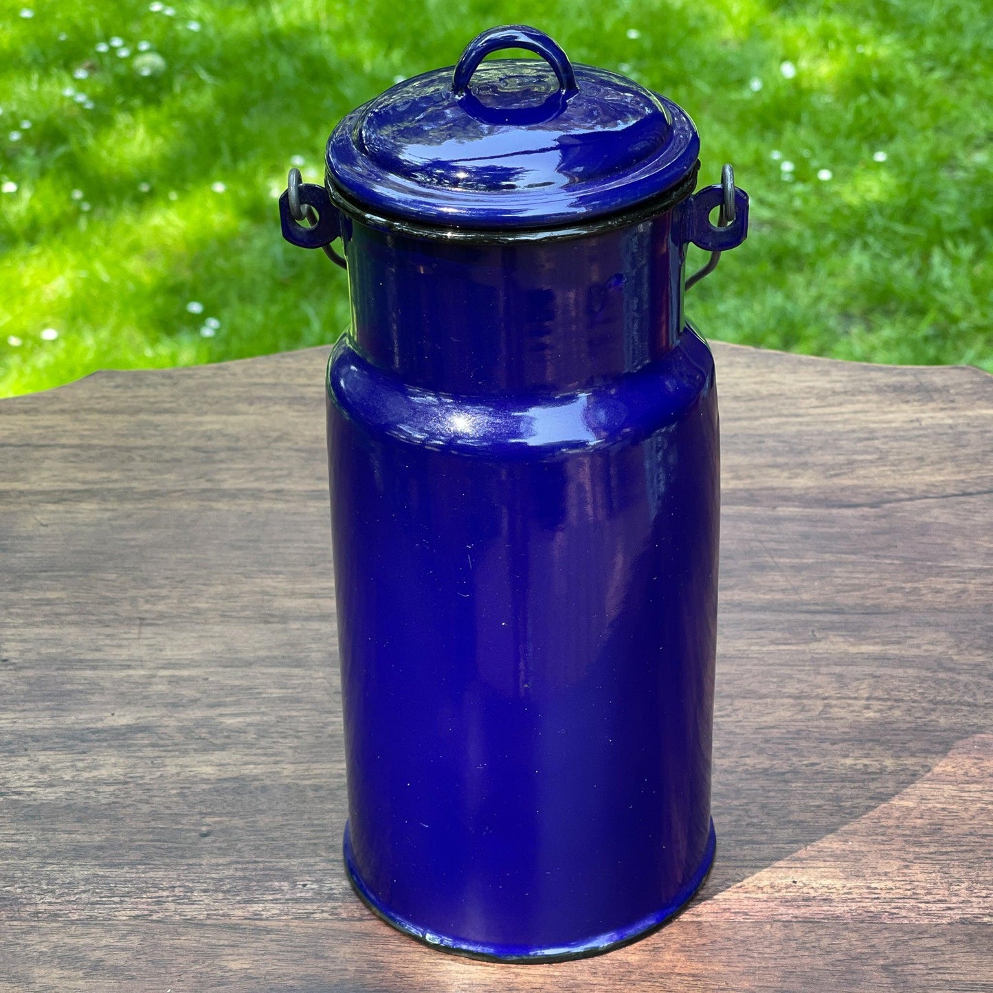 Emaille melkbus - Bamestra Curiosa