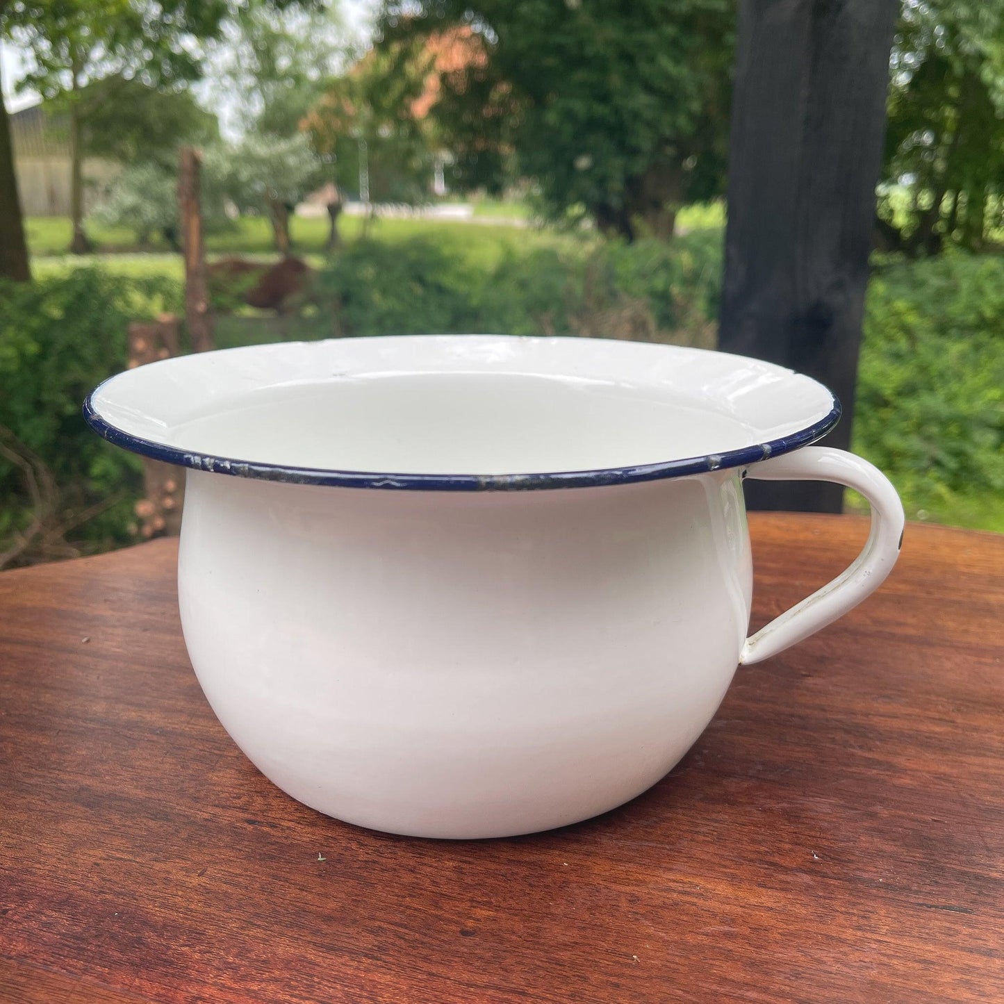 Emaille po - Bamestra Curiosa