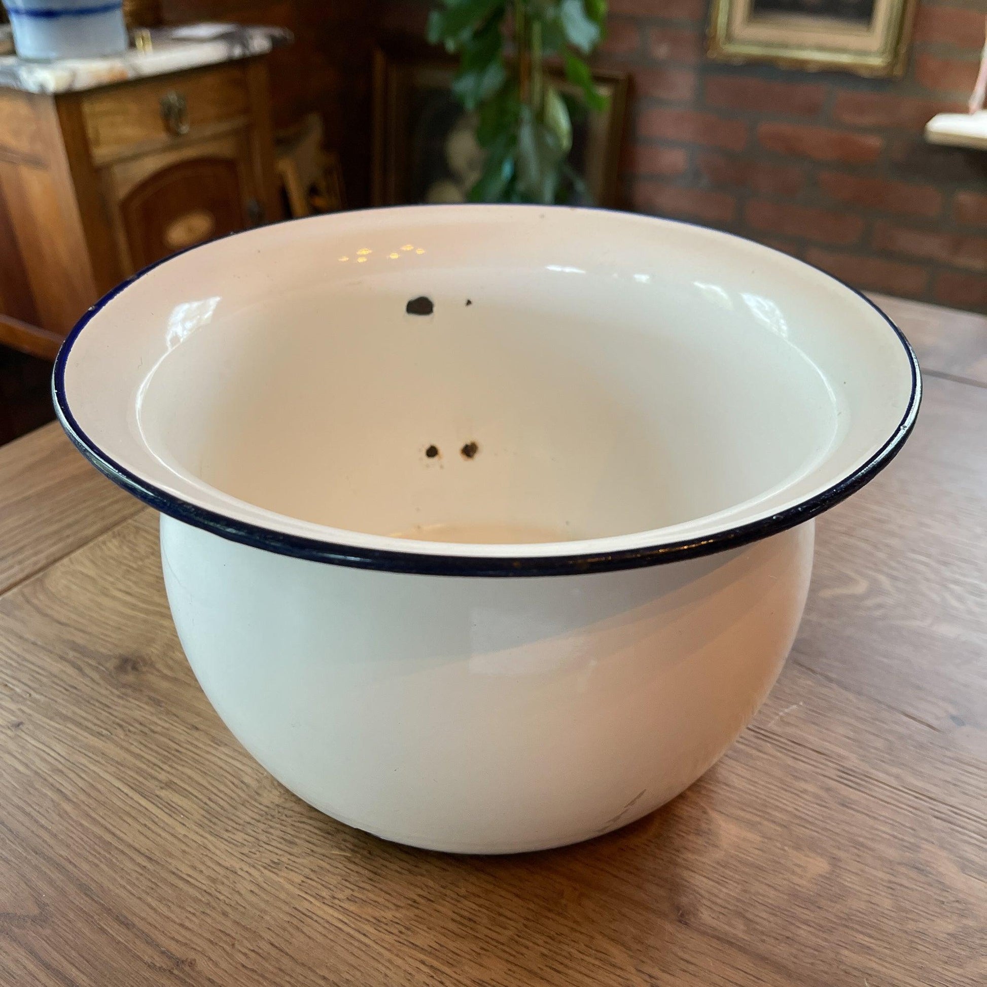 Emaille po - Bamestra Curiosa