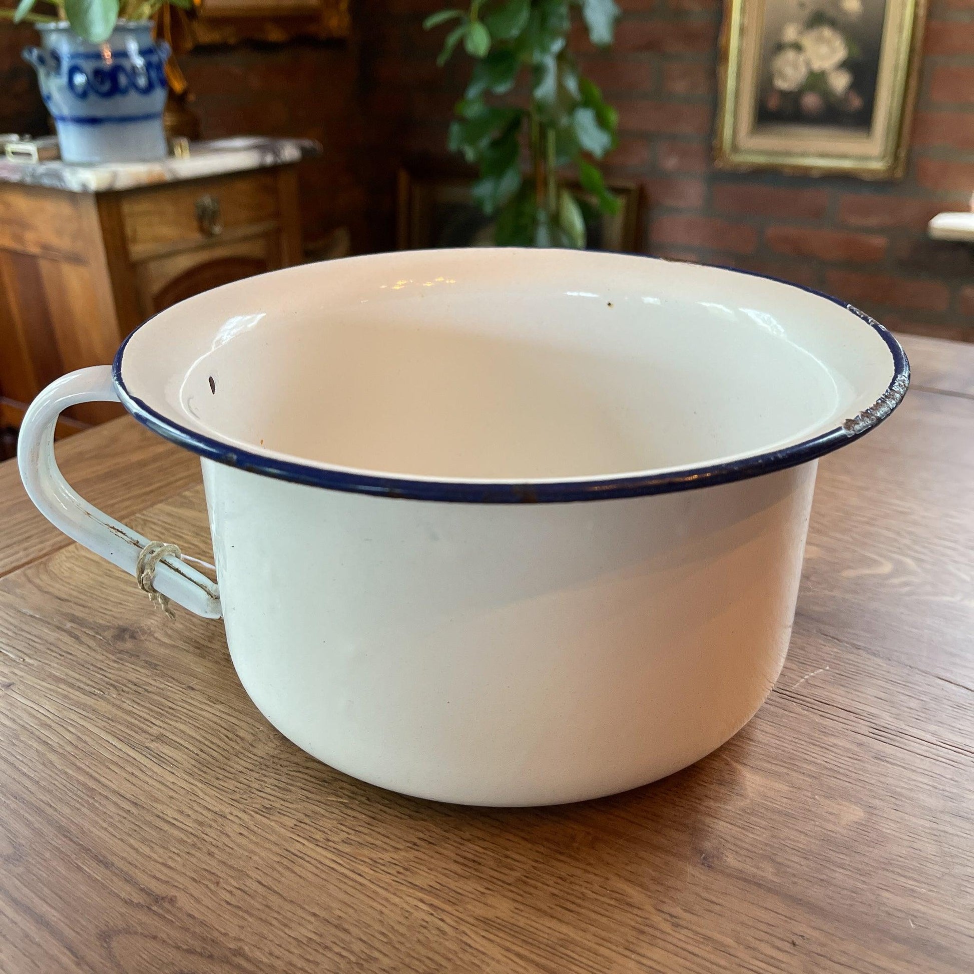 Emaille po - Bamestra Curiosa