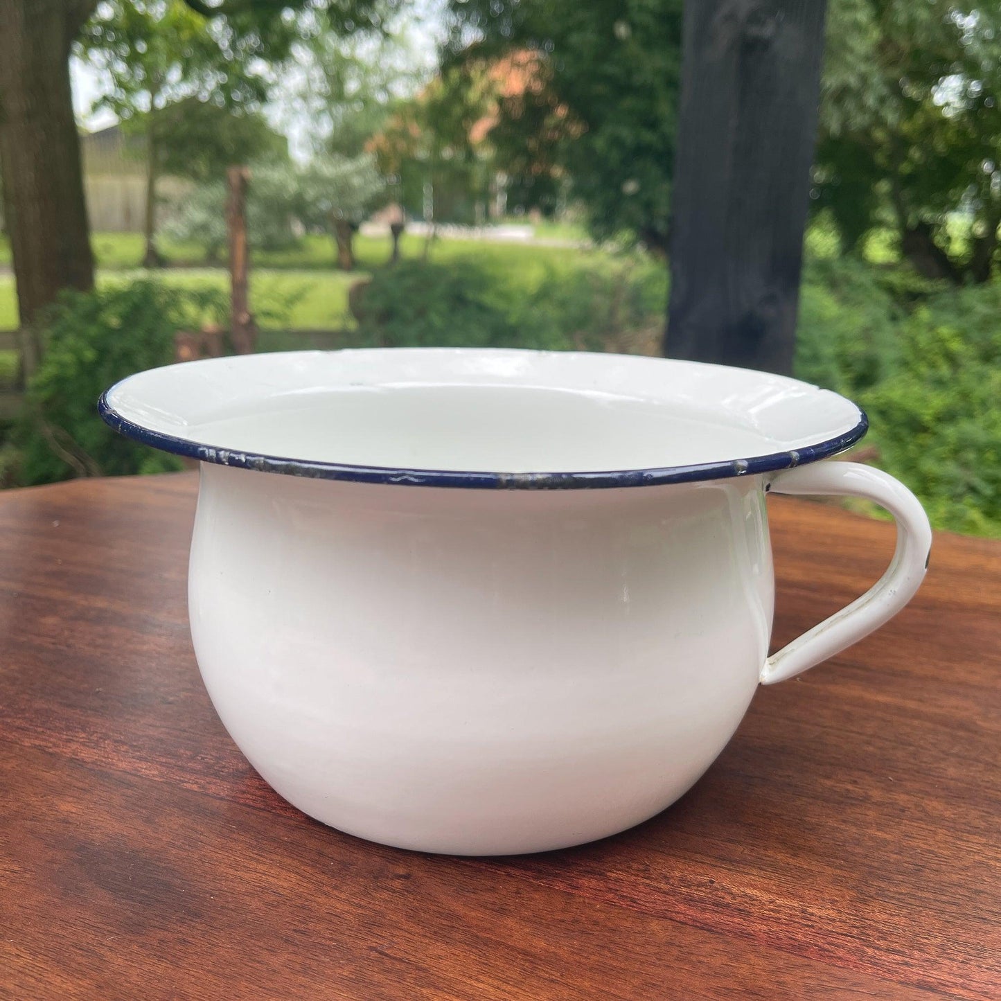 Emaille po - Bamestra Curiosa