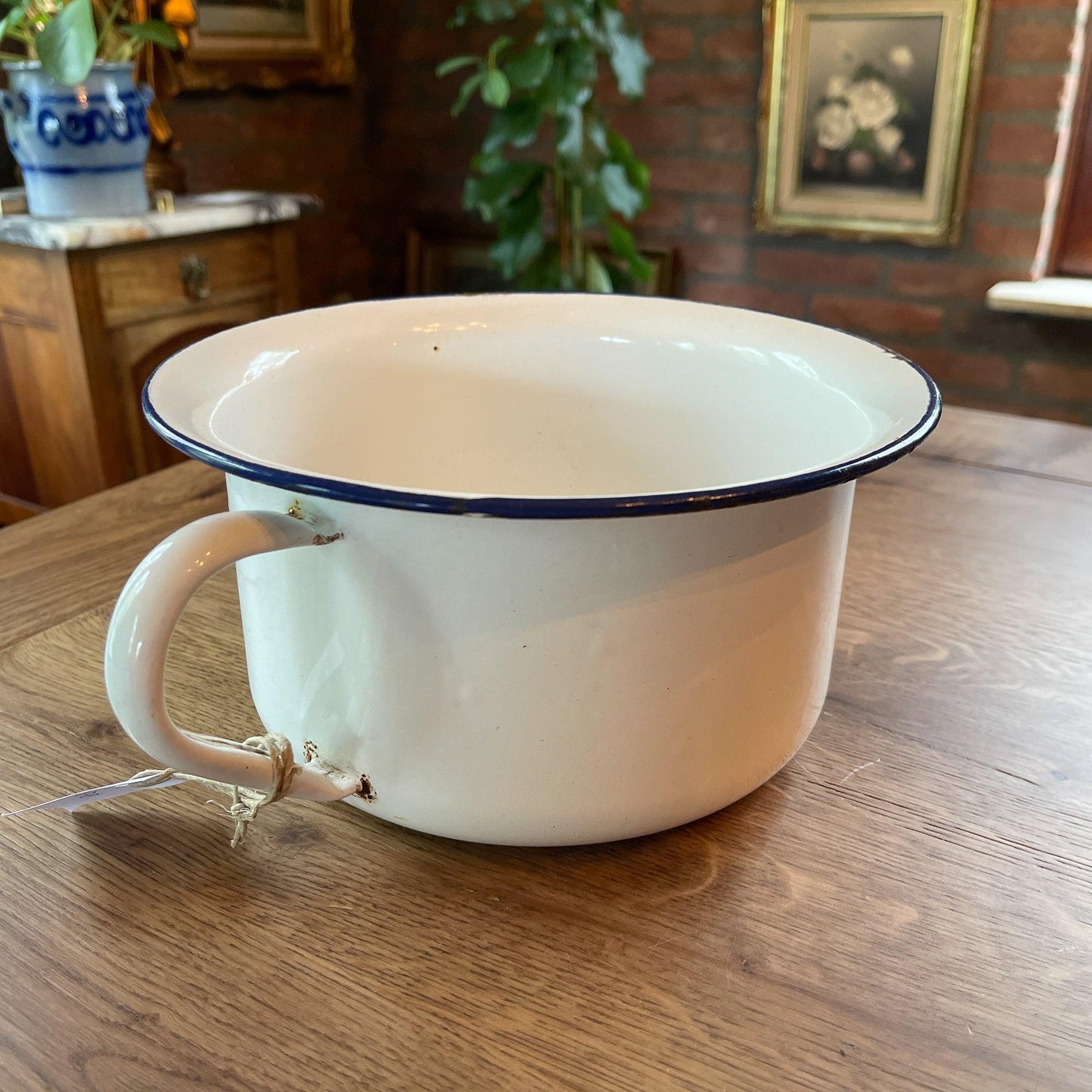 Emaille po - Bamestra Curiosa