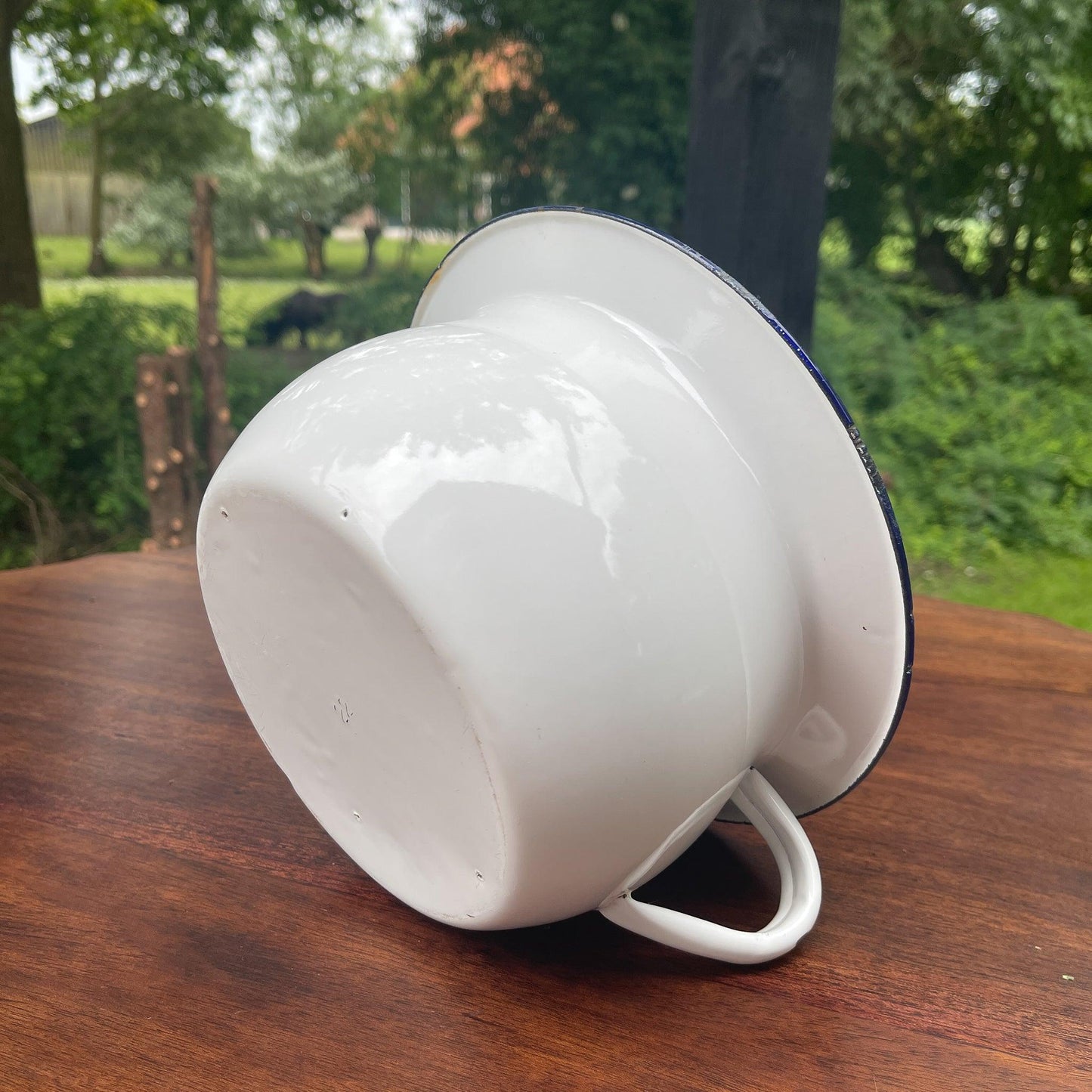 Emaille po - Bamestra Curiosa