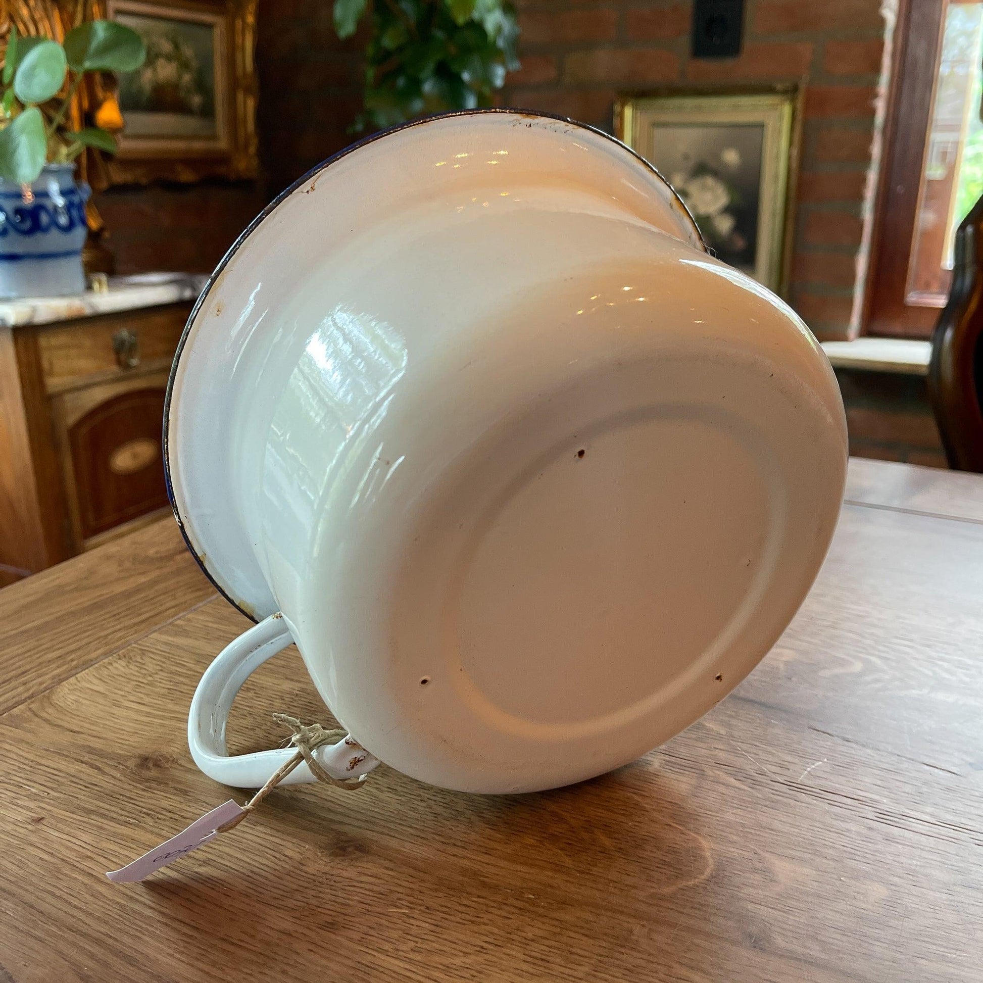 Emaille po - Bamestra Curiosa