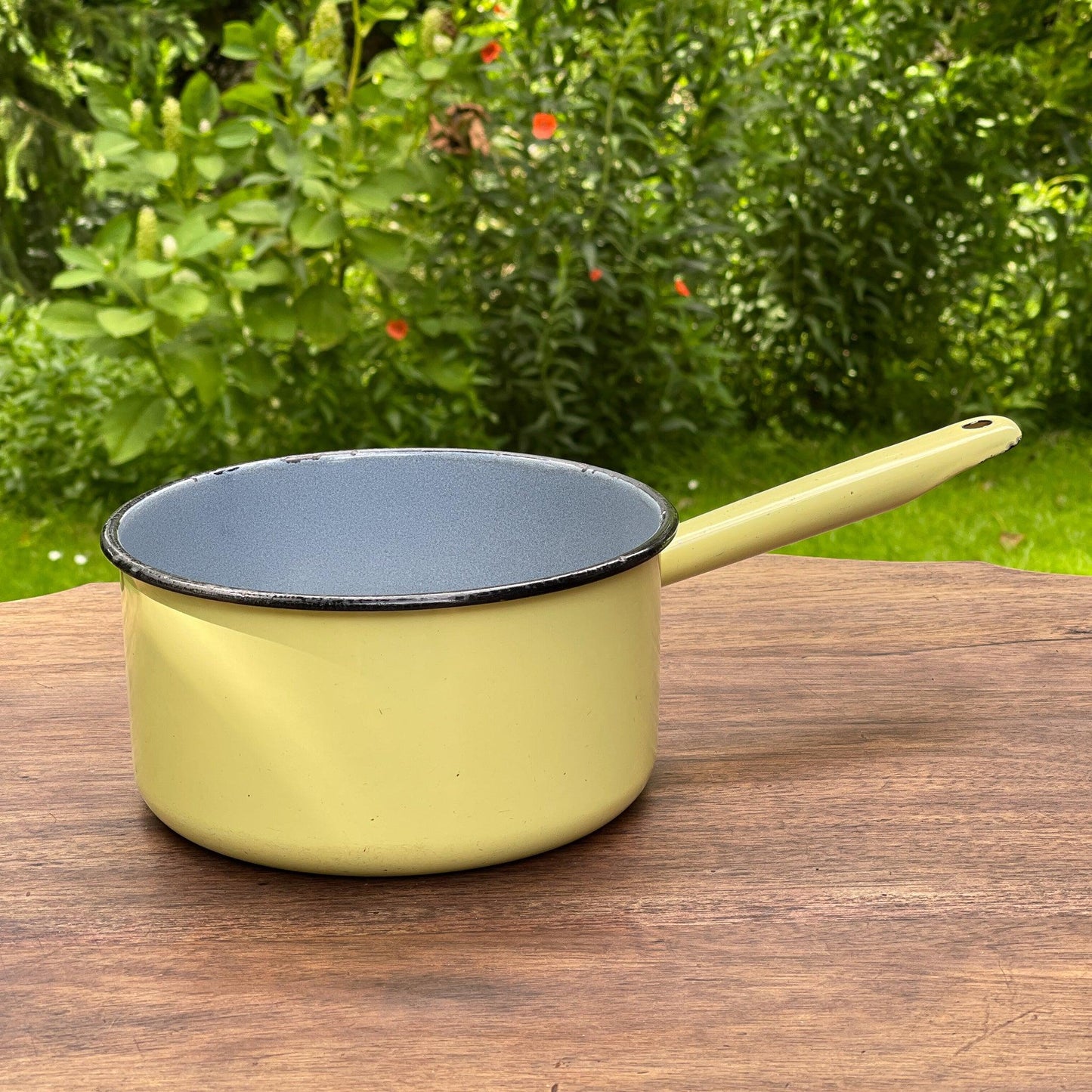 Emaille steelpan - Bamestra Curiosa