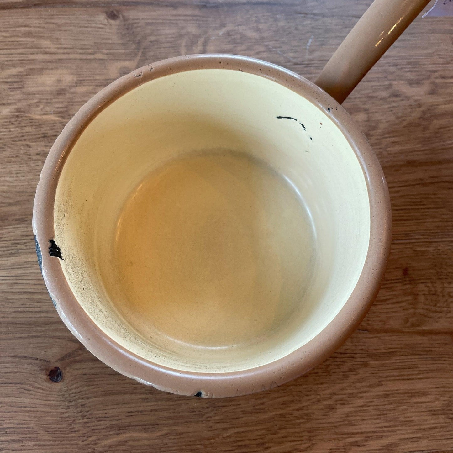 Emaille steelpan - Bamestra Curiosa