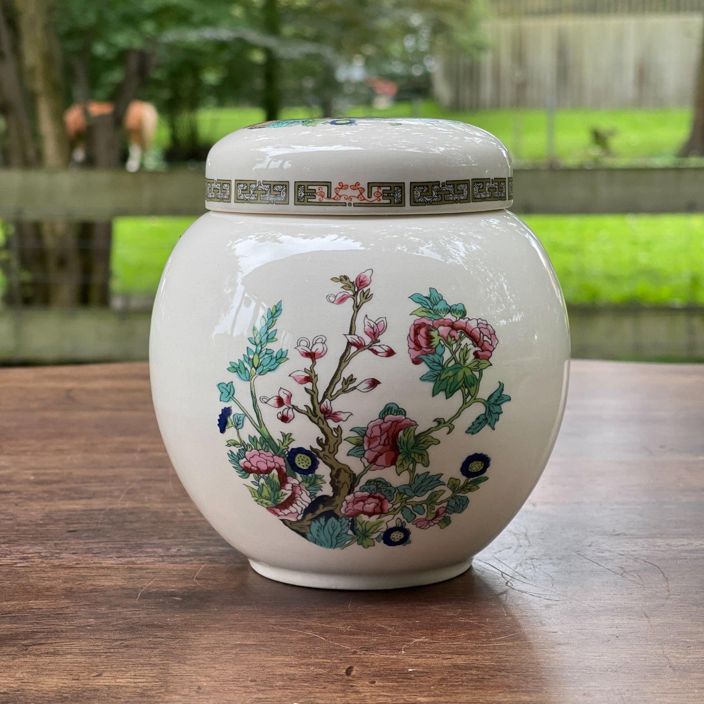 Gemberpotje van Sadler England - Bamestra Curiosa