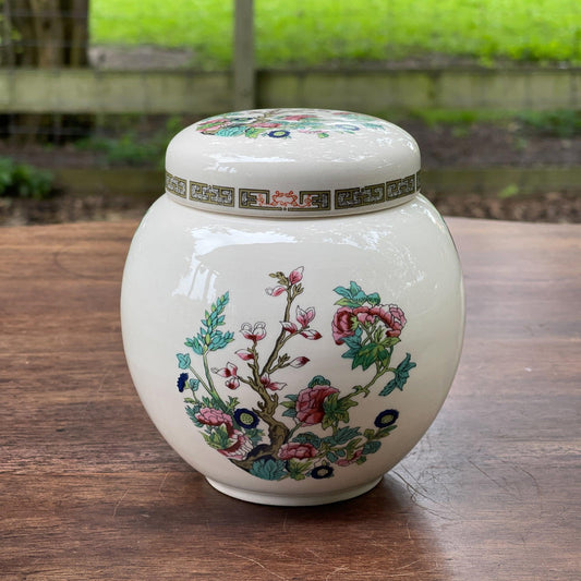 Gemberpotje van Sadler England - Bamestra Curiosa