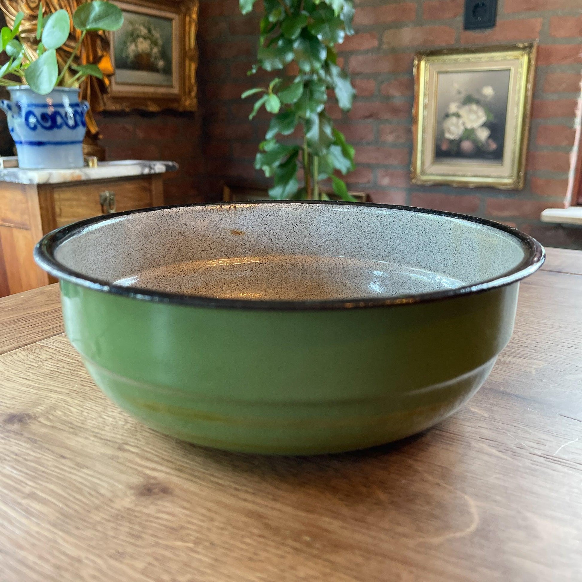 Groene emaille schaal - Bamestra Curiosa