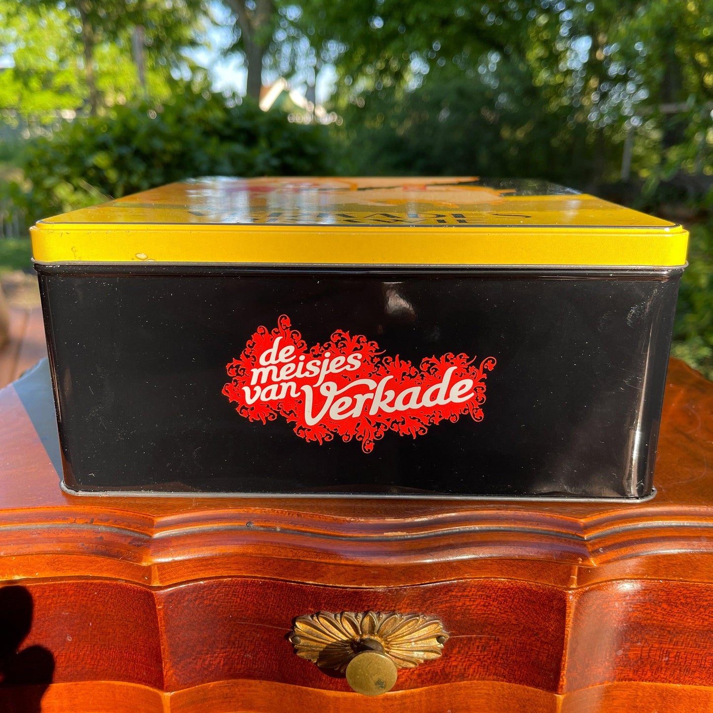 Groot koekblik van Verkade Biskwie - Bamestra Curiosa