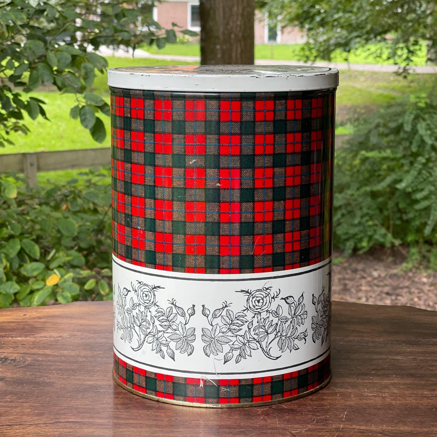 Groot rond blik van Tomado - Bamestra Curiosa