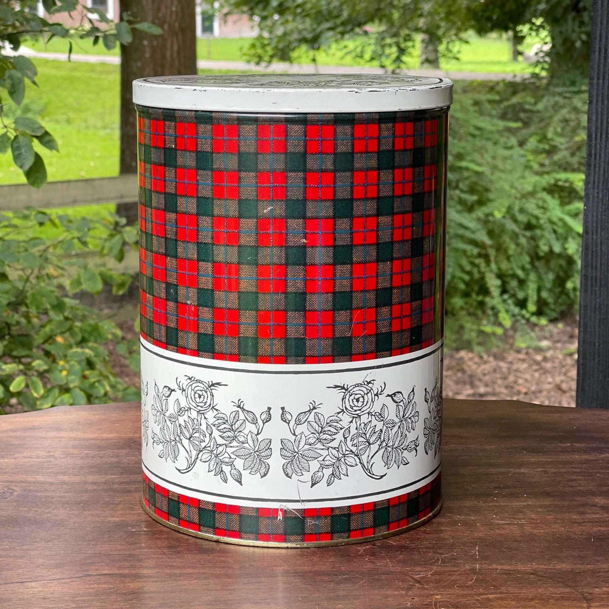 Groot rond blik van Tomado - Bamestra Curiosa