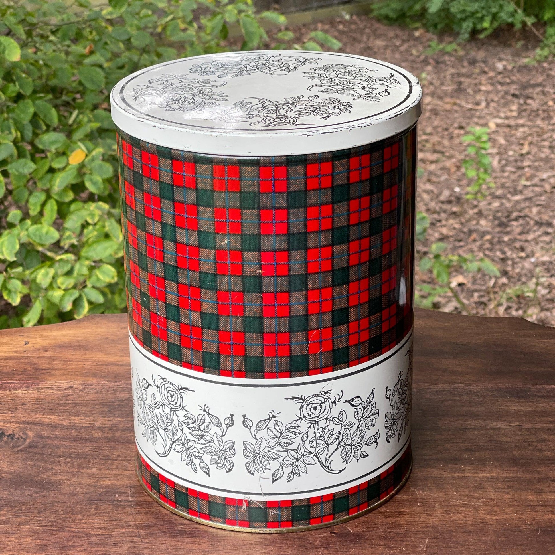 Groot rond blik van Tomado - Bamestra Curiosa