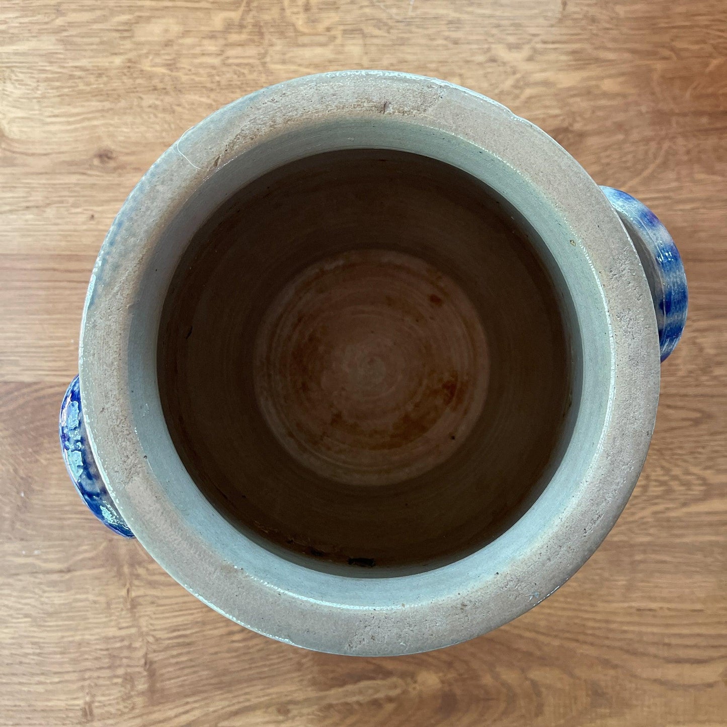 Grote Keulse aardewerk pot - Bamestra Curiosa