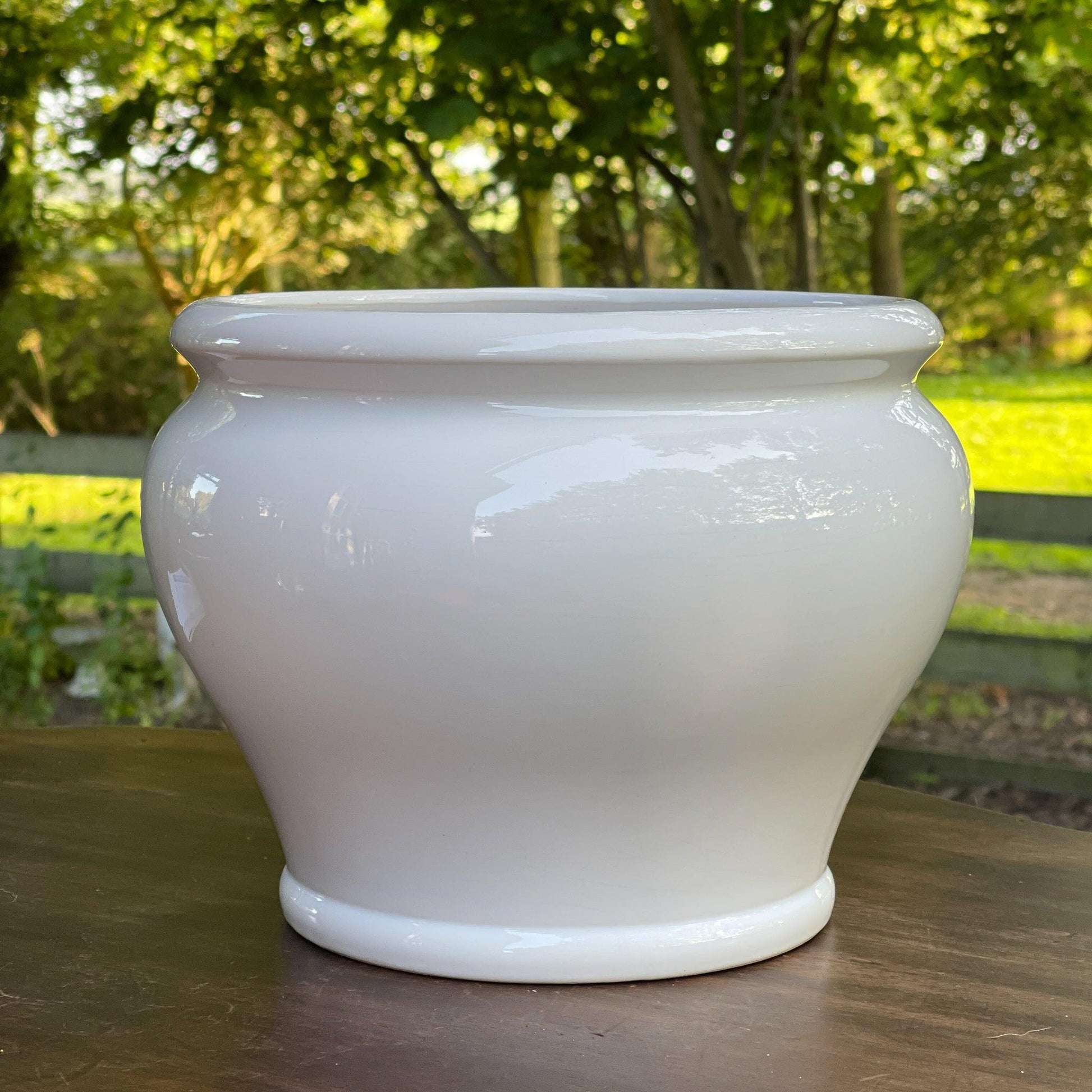 Grote witte porseleinen bloempot - Bamestra Curiosa