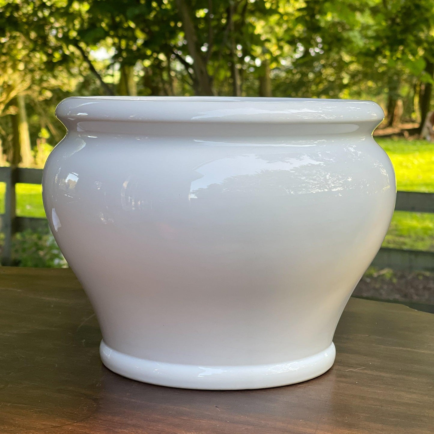 Grote witte porseleinen bloempot - Bamestra Curiosa