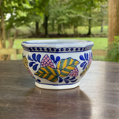 Handgeschilderd bloempotje - Bamestra Curiosa