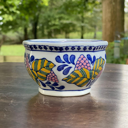 Handgeschilderd bloempotje - Bamestra Curiosa