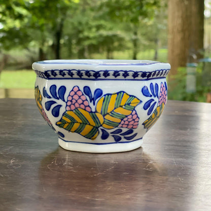 Handgeschilderd bloempotje - Bamestra Curiosa