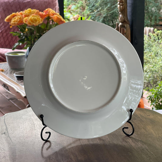 Handgeschilderd bord met een Pauw - Bamestra Curiosa