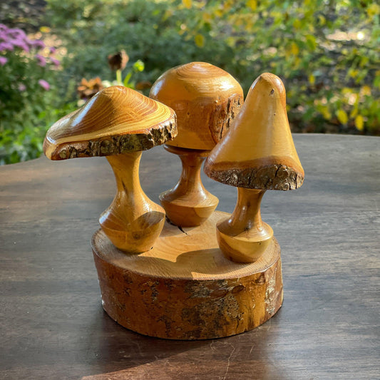 Houtsnijwerk paddestoelen op boomstam - Bamestra Curiosa