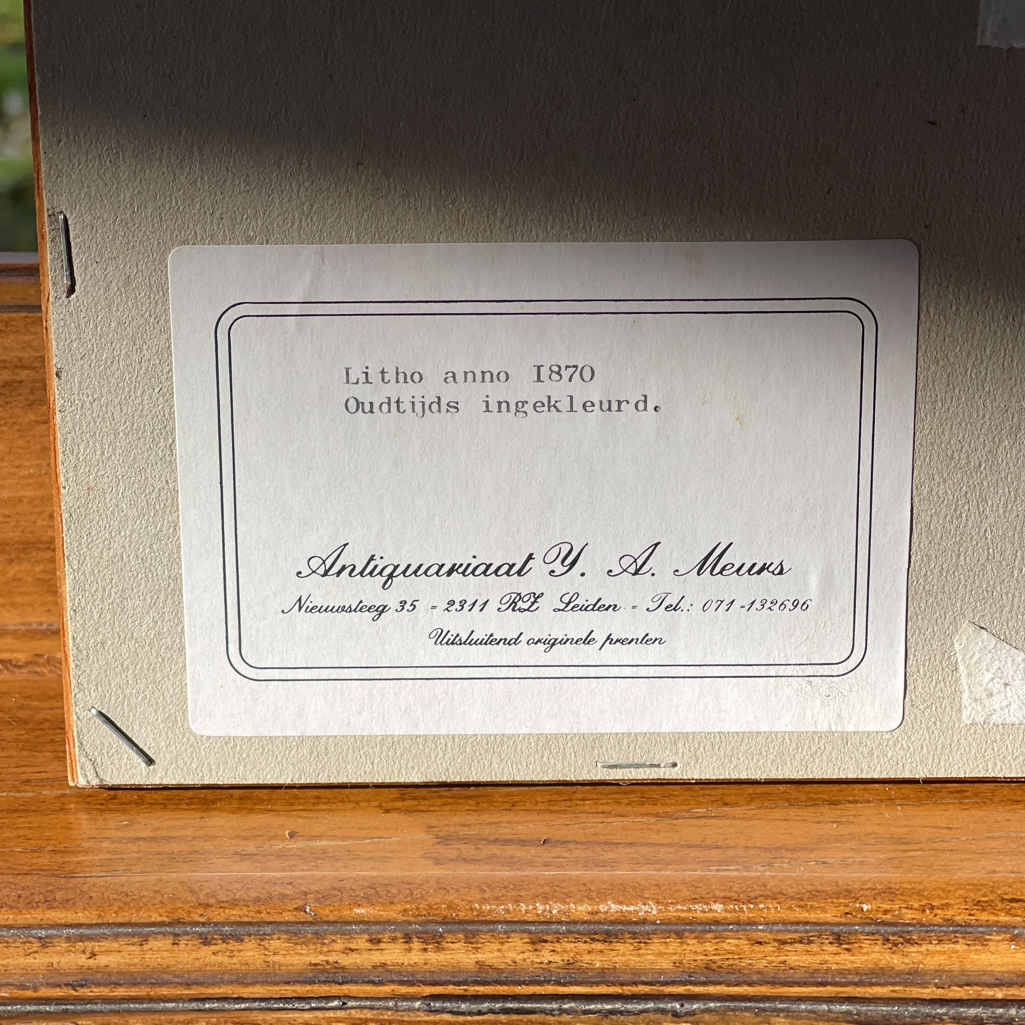 Ingelijste litho, rupsen en vlinders (1870) - The Collectionist