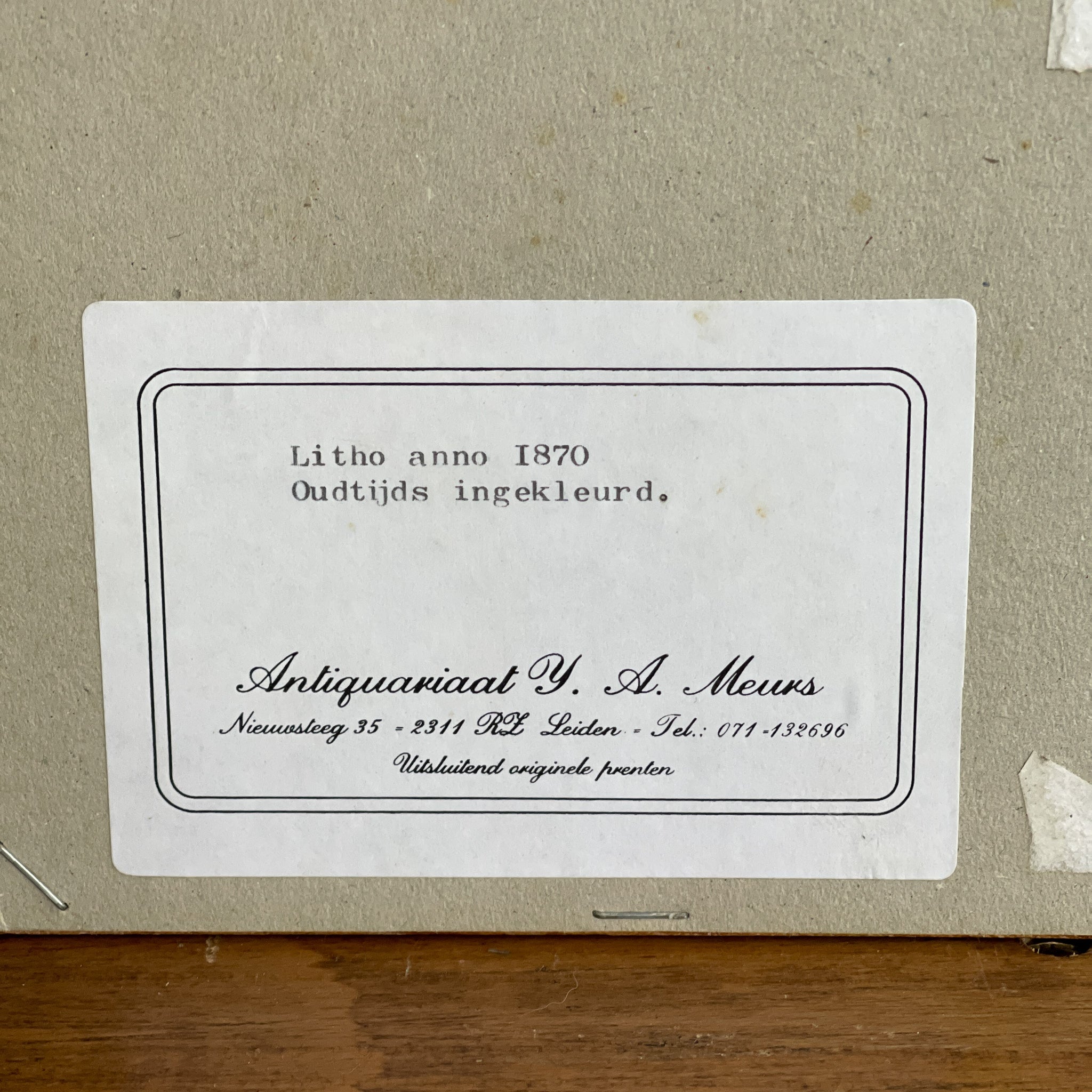 Ingelijste litho, rupsen en vlinders (1870) - The Collectionist