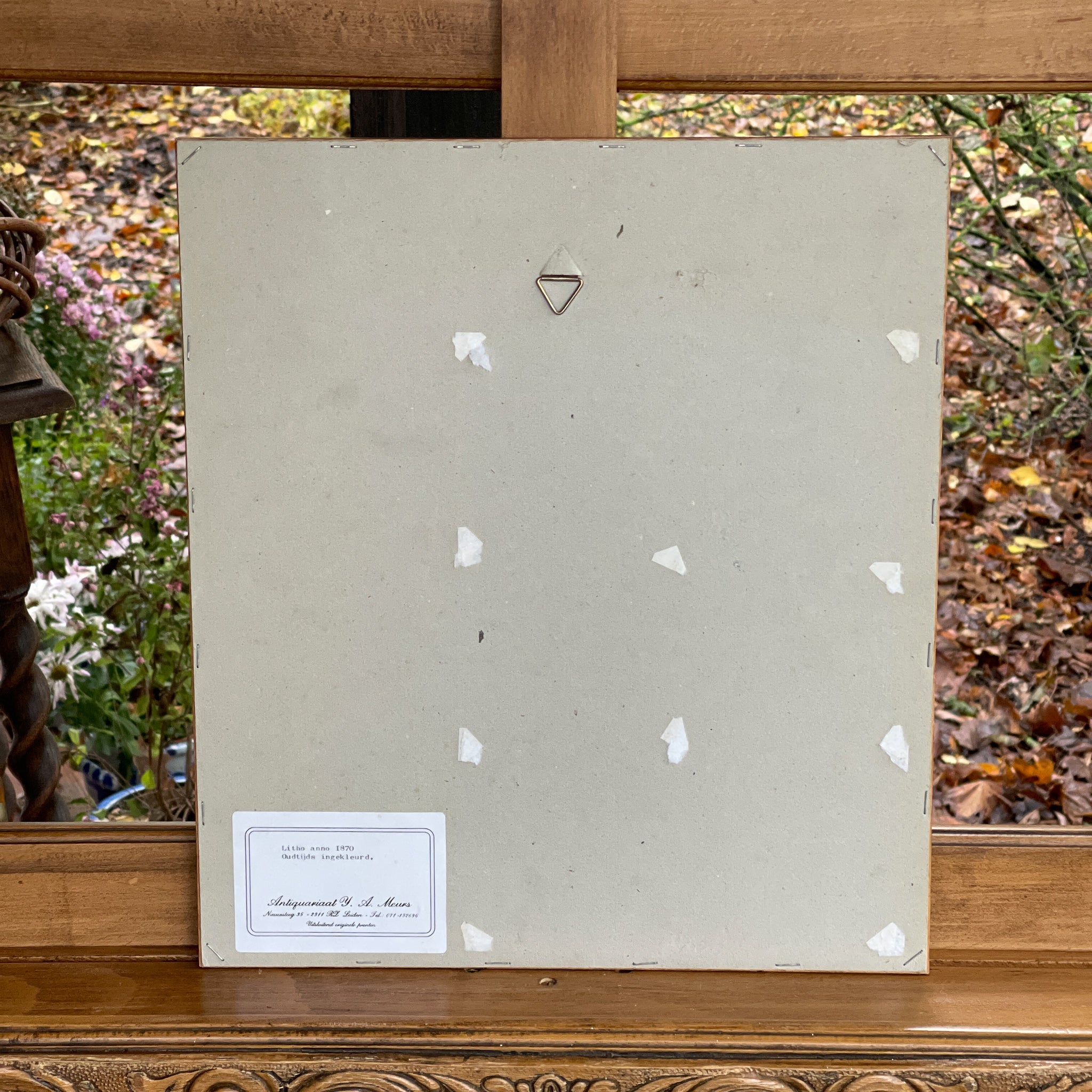 Ingelijste litho, rupsen en vlinders (1870) - The Collectionist