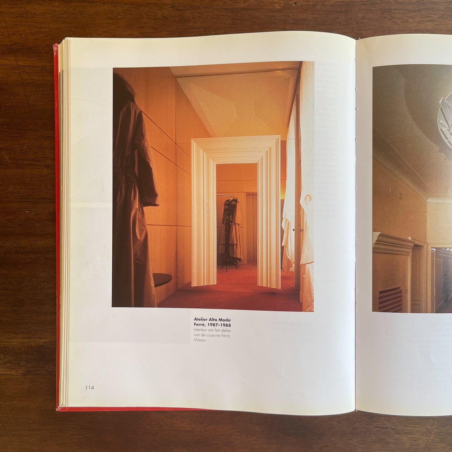 Italiaans New Design - Bamestra Curiosa