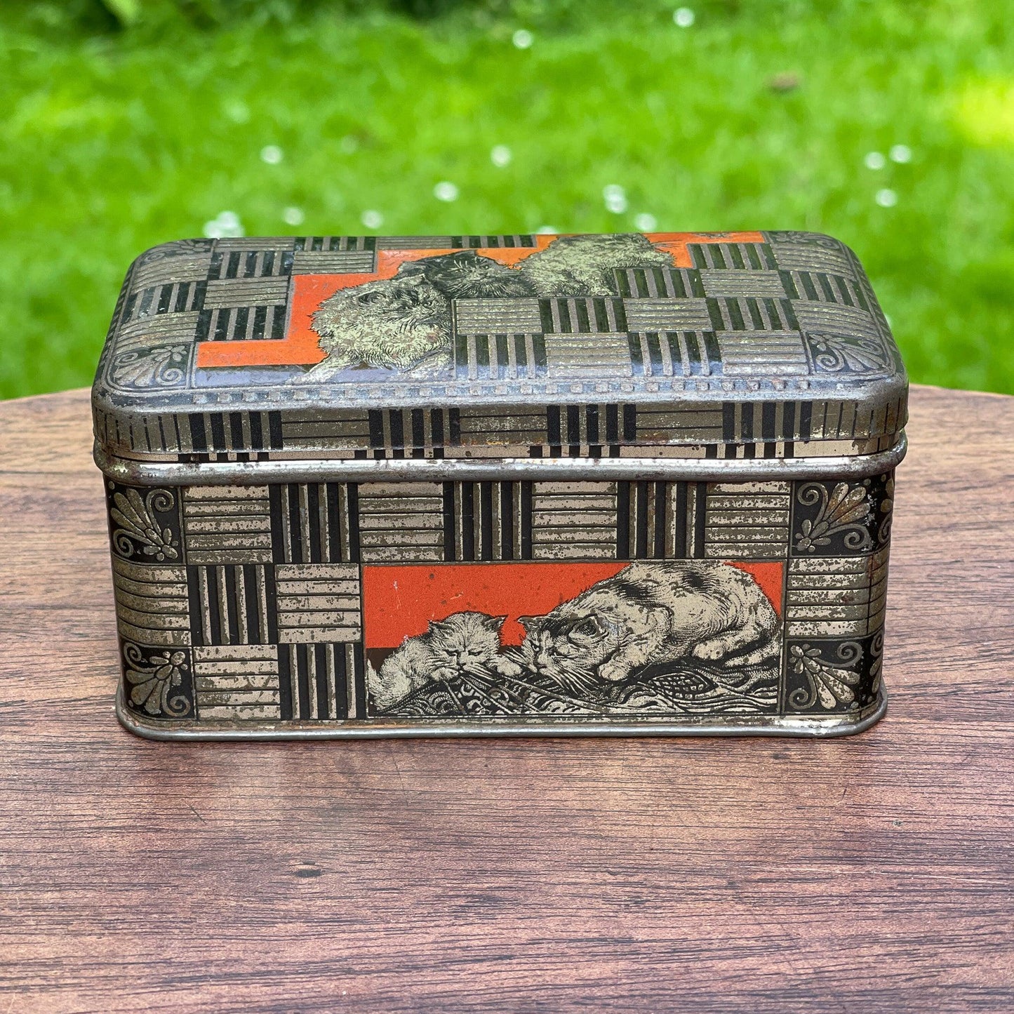 Jamin poezen blik - Bamestra Curiosa