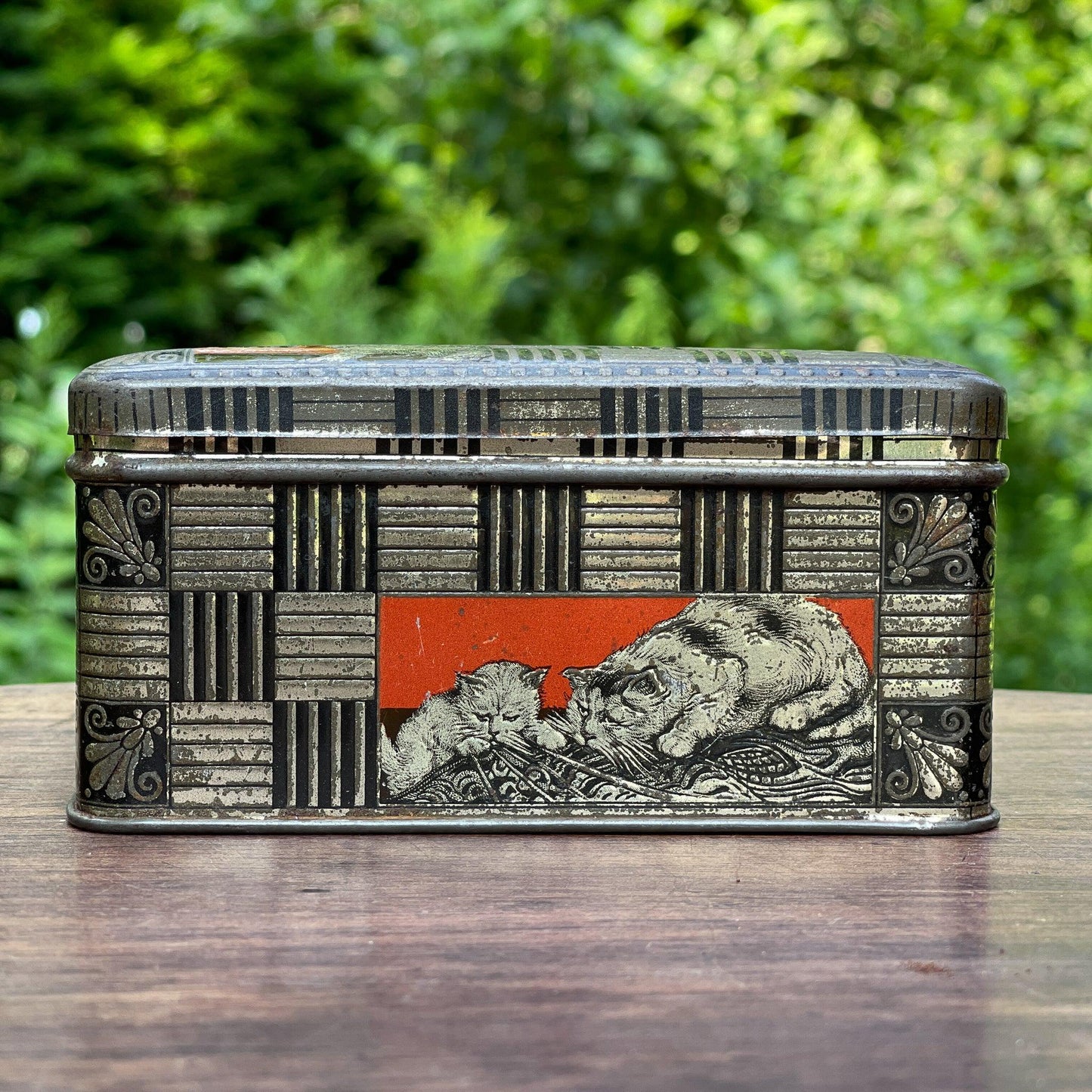 Jamin poezen blik - Bamestra Curiosa