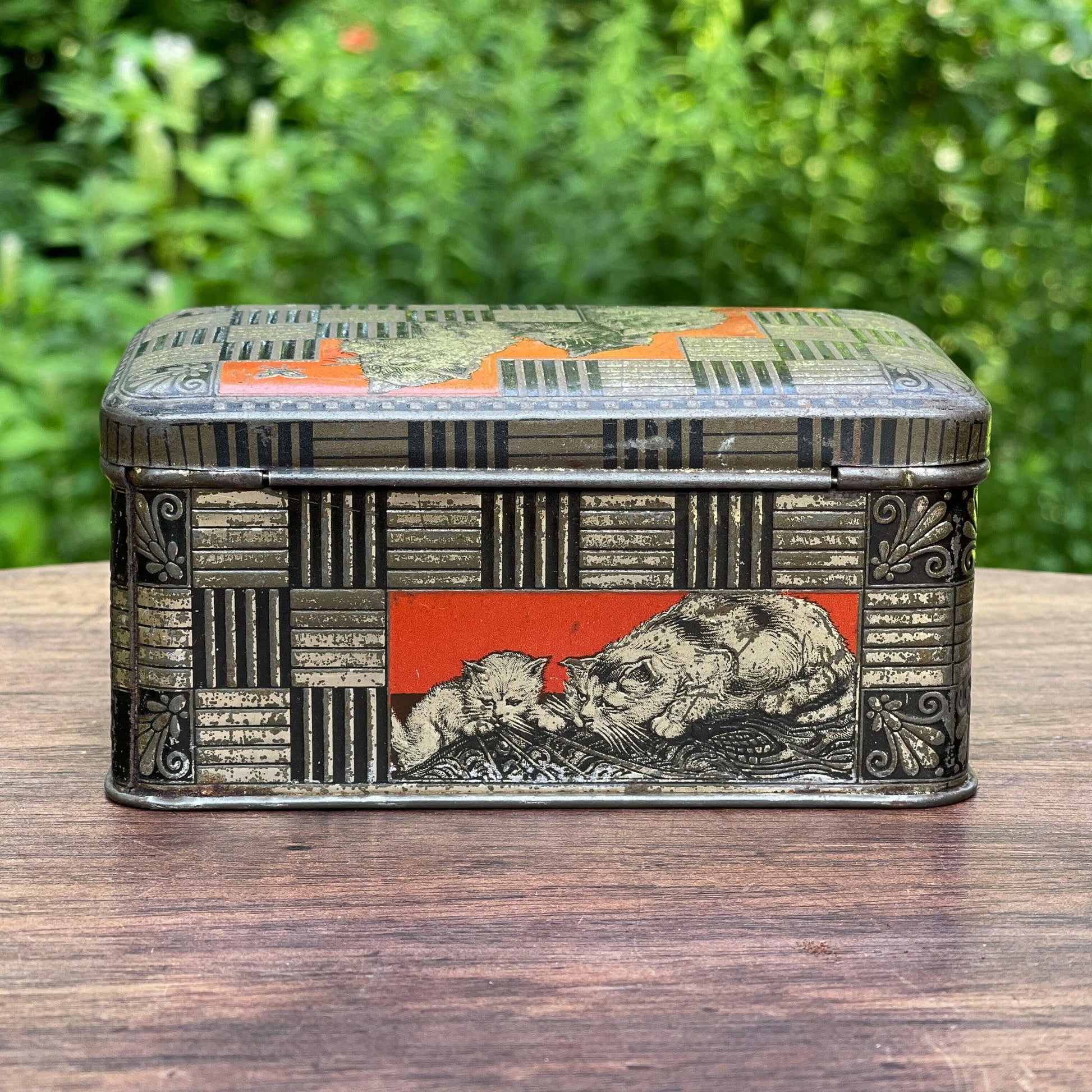 Jamin poezen blik - Bamestra Curiosa