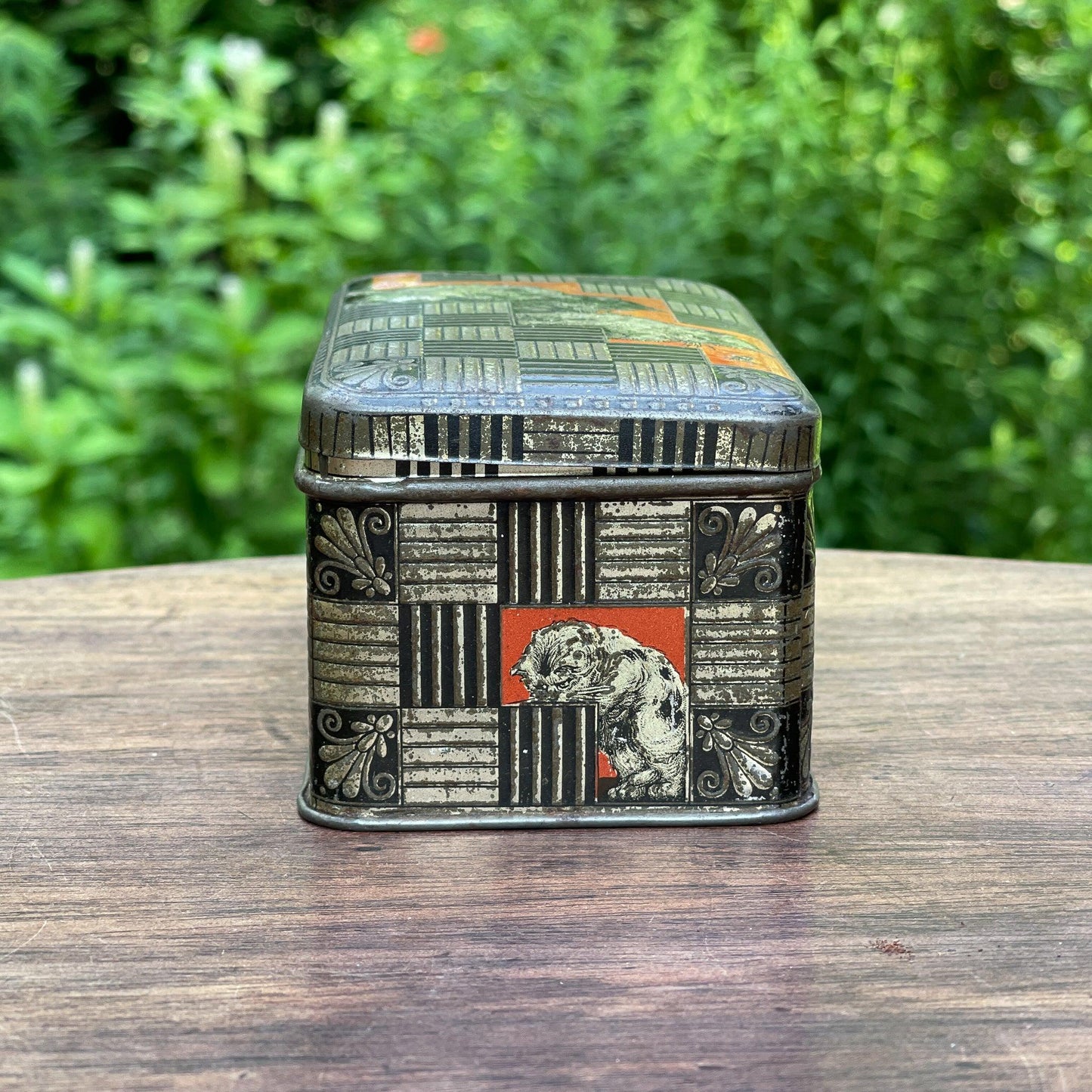 Jamin poezen blik - Bamestra Curiosa