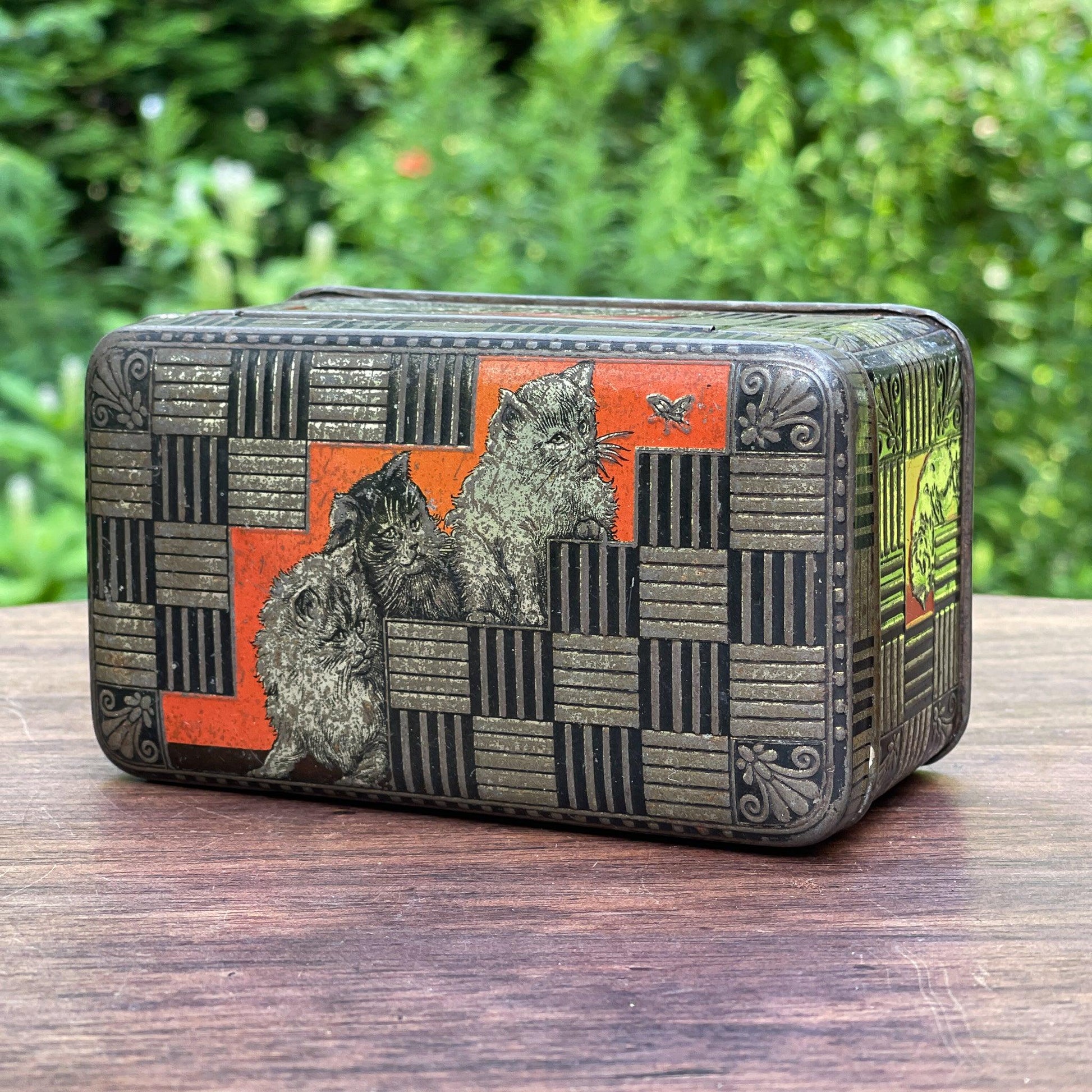 Jamin poezen blik - Bamestra Curiosa