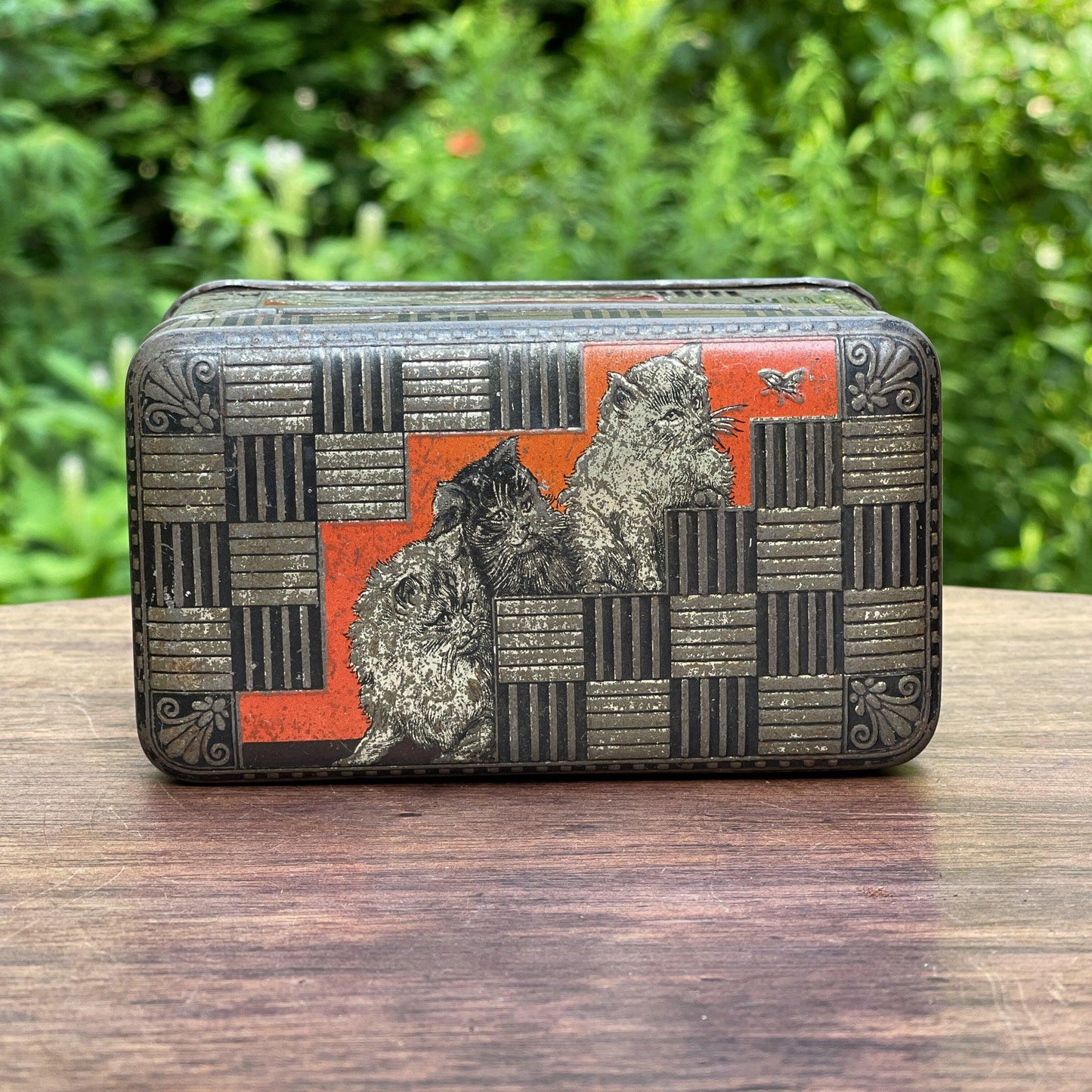 Jamin poezen blik - Bamestra Curiosa