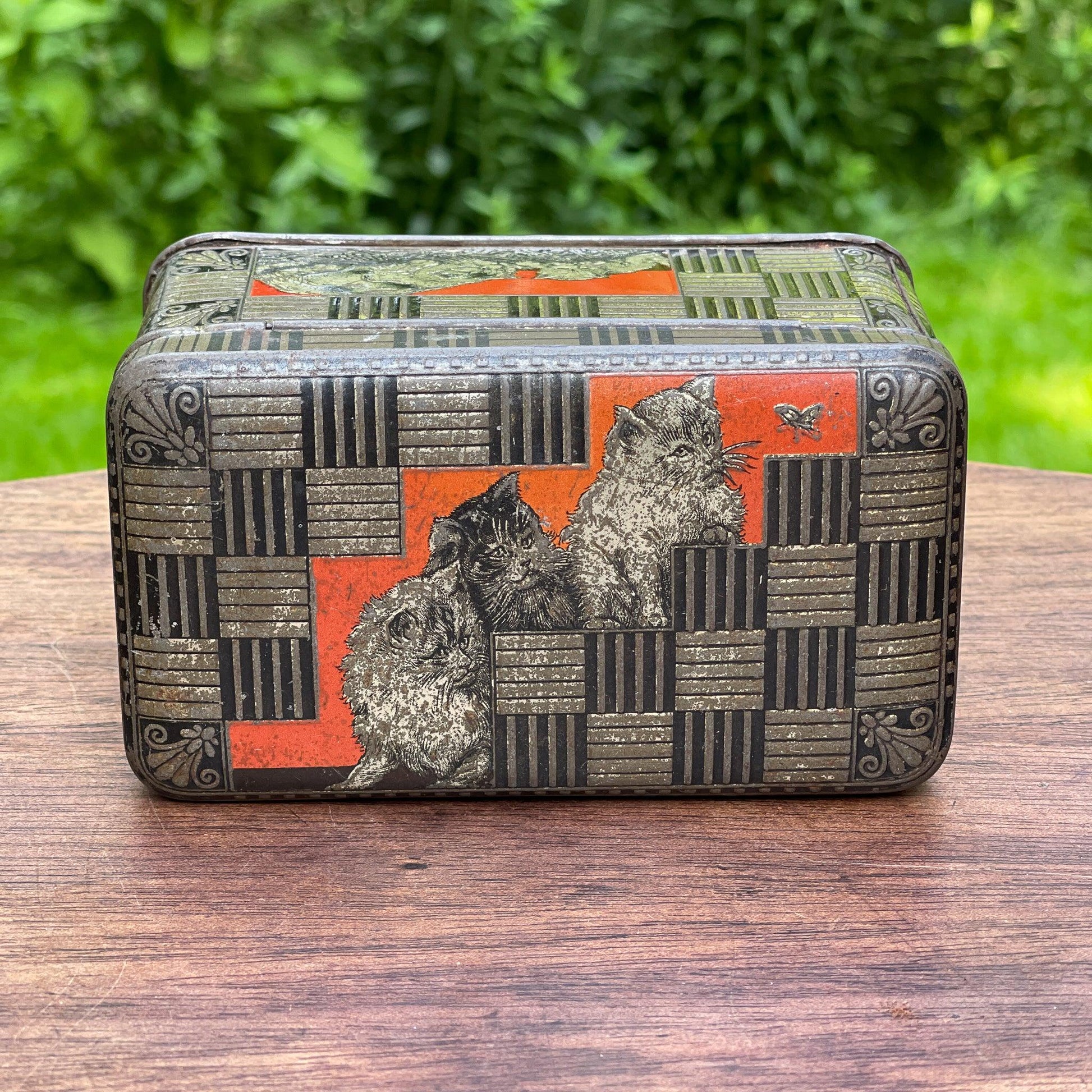 Jamin poezen blik - Bamestra Curiosa