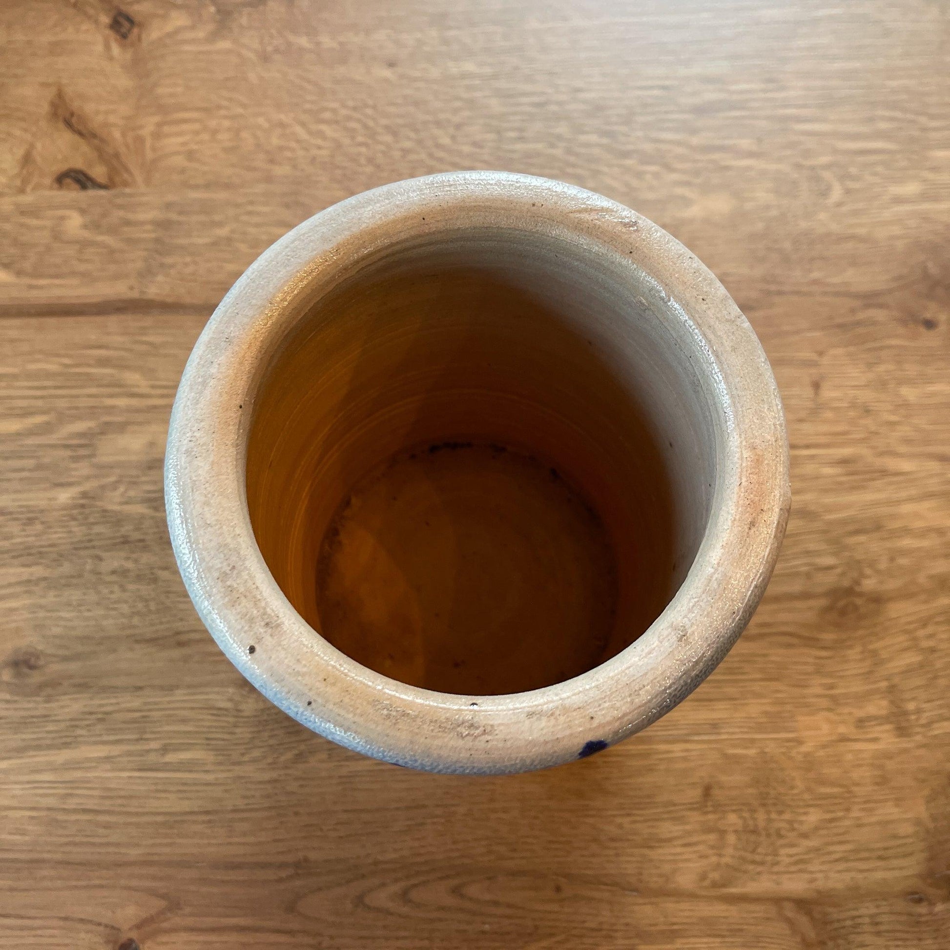 Keuls aardewerk pot - Bamestra Curiosa