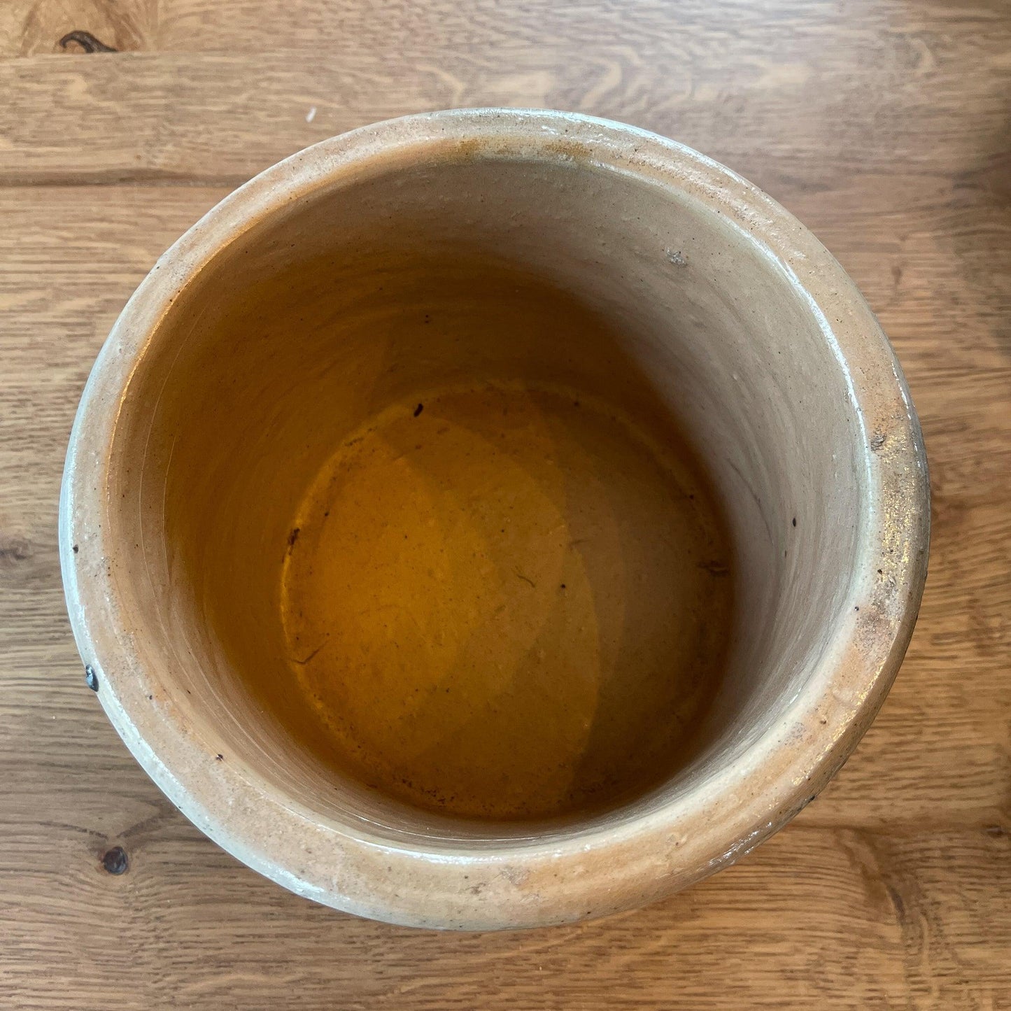 Keuls aardewerk pot - Bamestra Curiosa