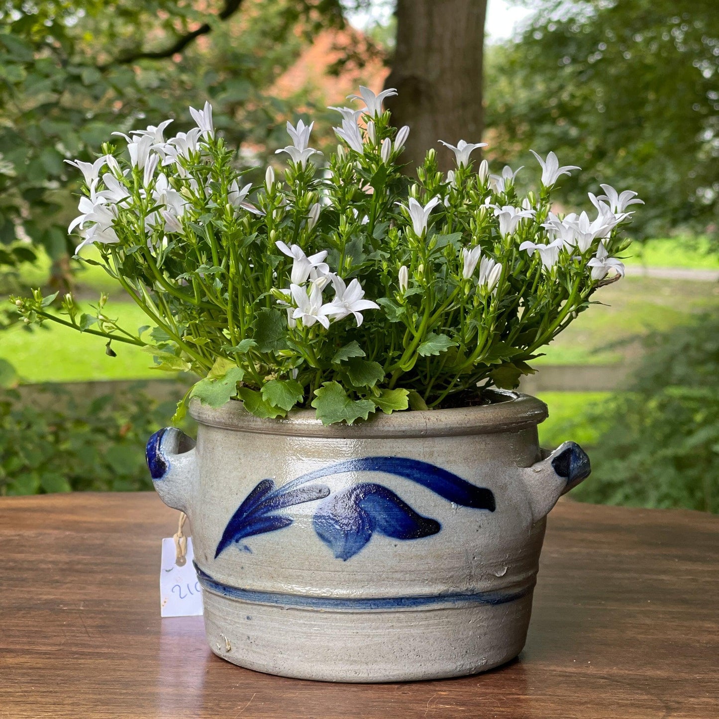 Keuls aardewerk pot - Bamestra Curiosa