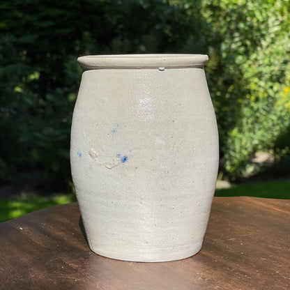 Keulse aardewerk ansjovis pot - Bamestra Curiosa