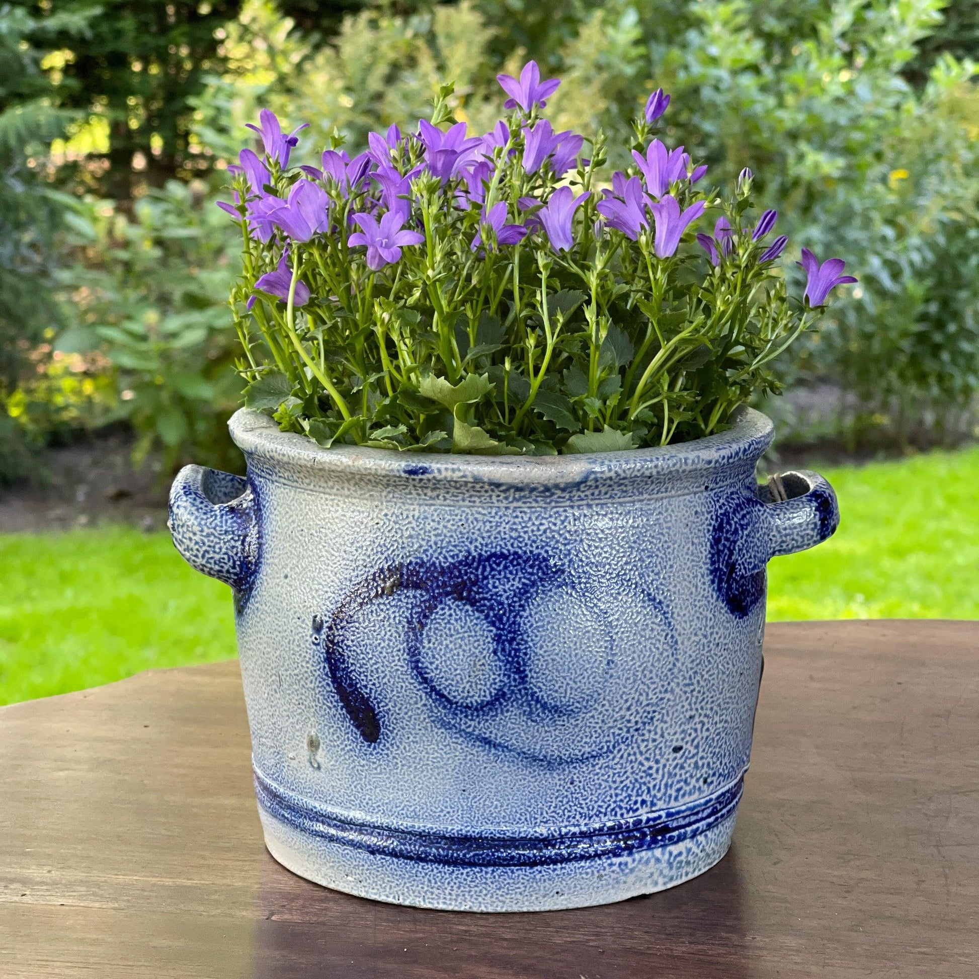 Keulse aardewerk pot - Bamestra Curiosa